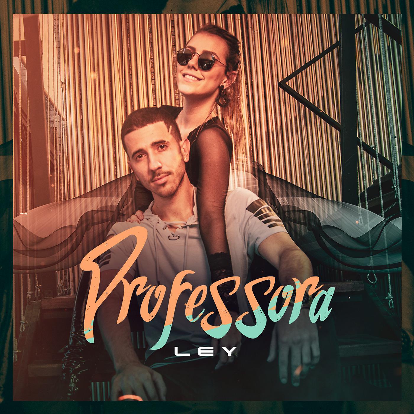 Постер альбома Professora