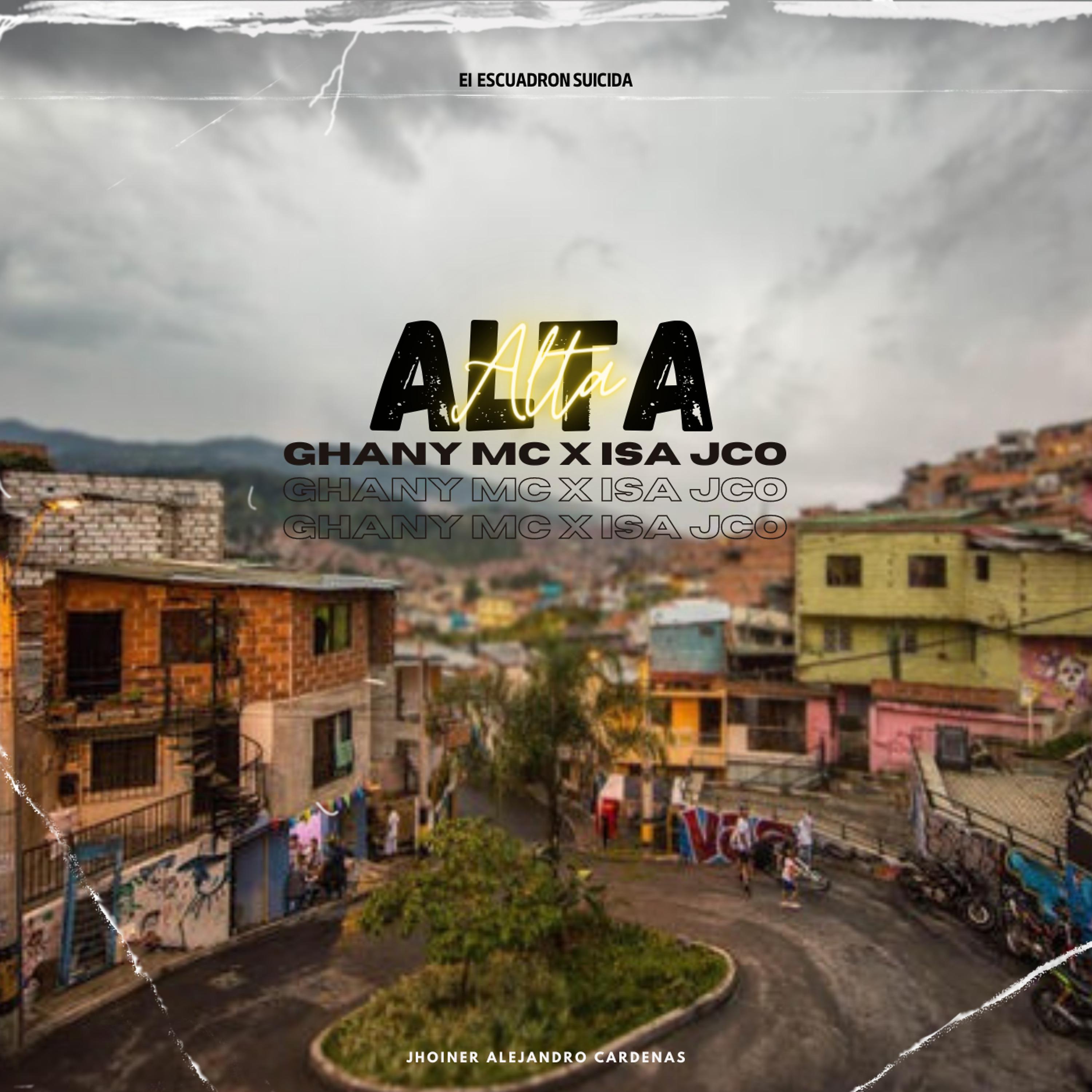 Постер альбома Alta