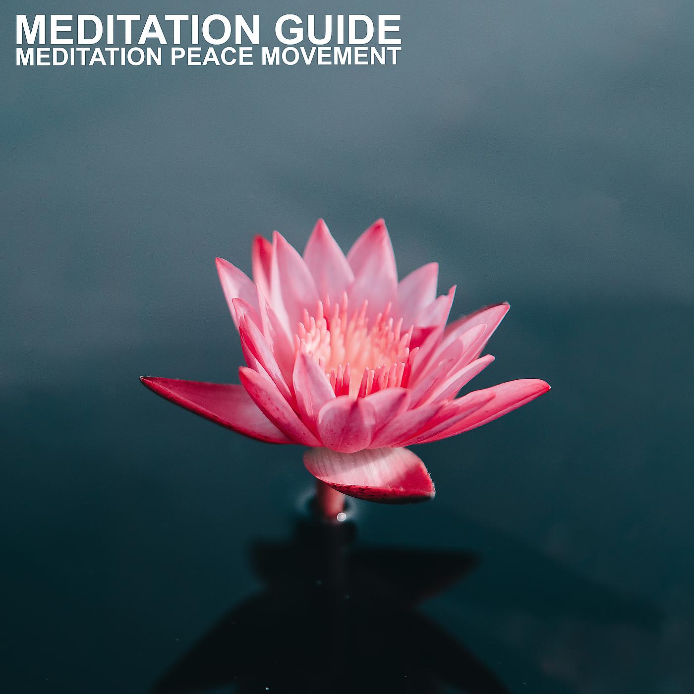 Постер альбома Meditation Guide