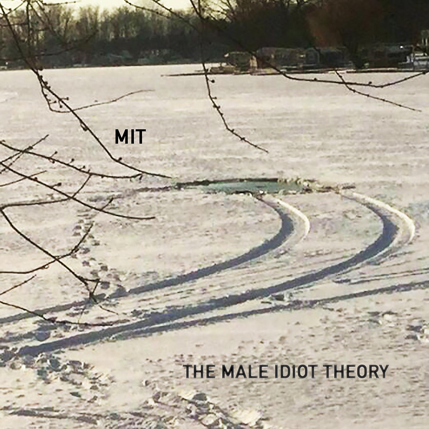 Постер альбома The Male Idiot Theory