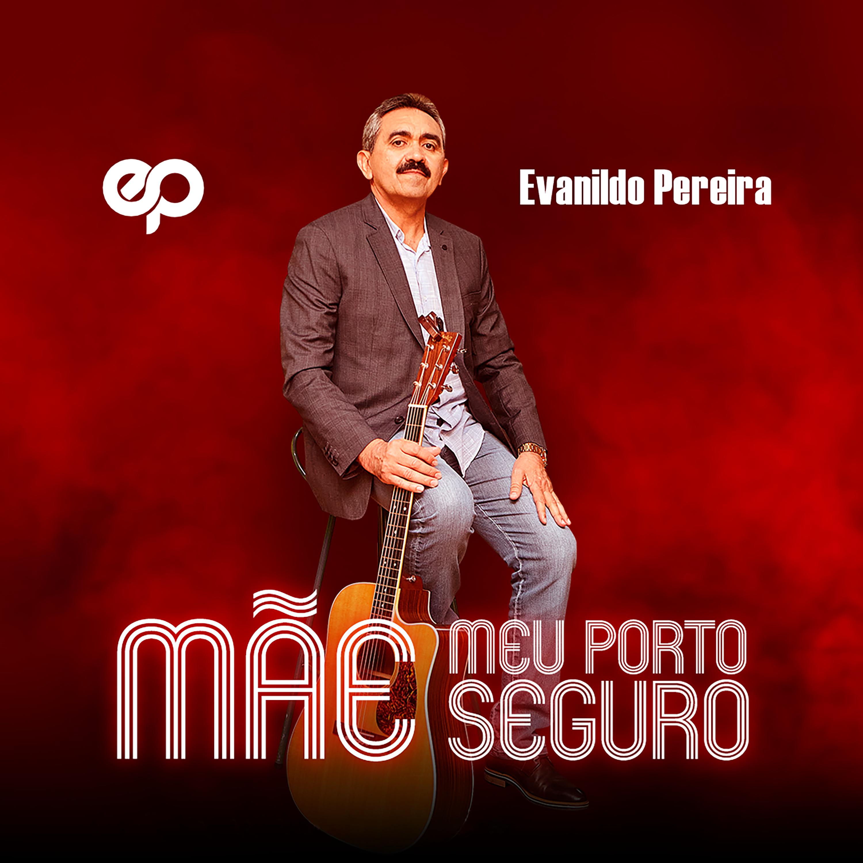 Постер альбома Mãe Meu Porto Seguro