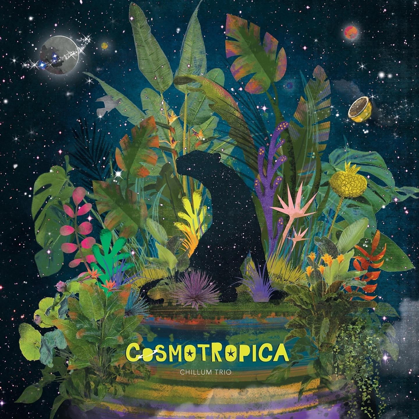 Постер альбома Cosmotropica