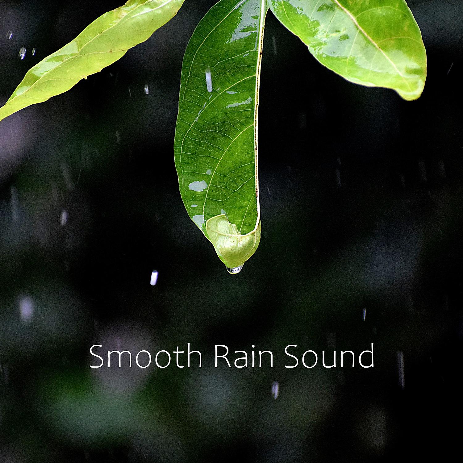 Постер альбома #1 Collection of Rain Sound: ASMR Relax Sounds of Raining Mood