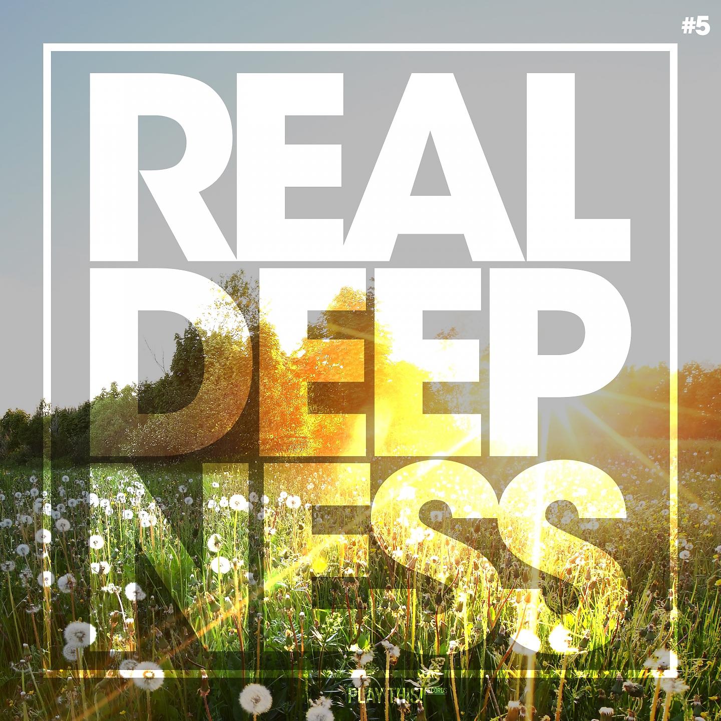 Постер альбома Real Deepness #5