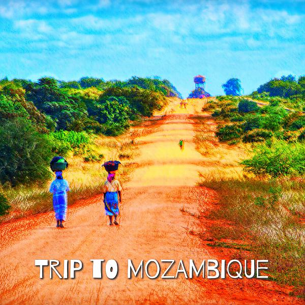 Постер альбома Trip to Mozambique