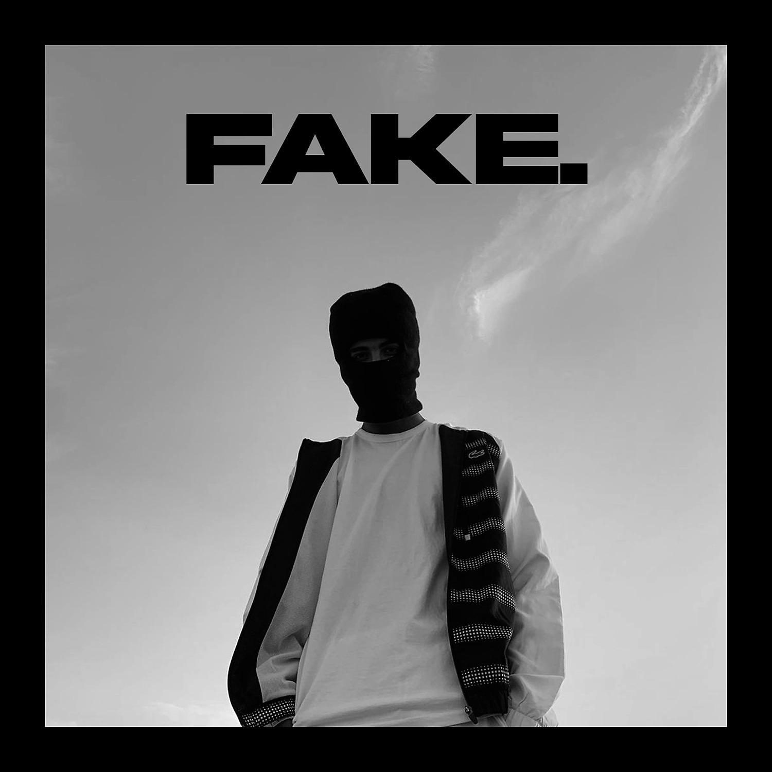 Постер альбома Fake.