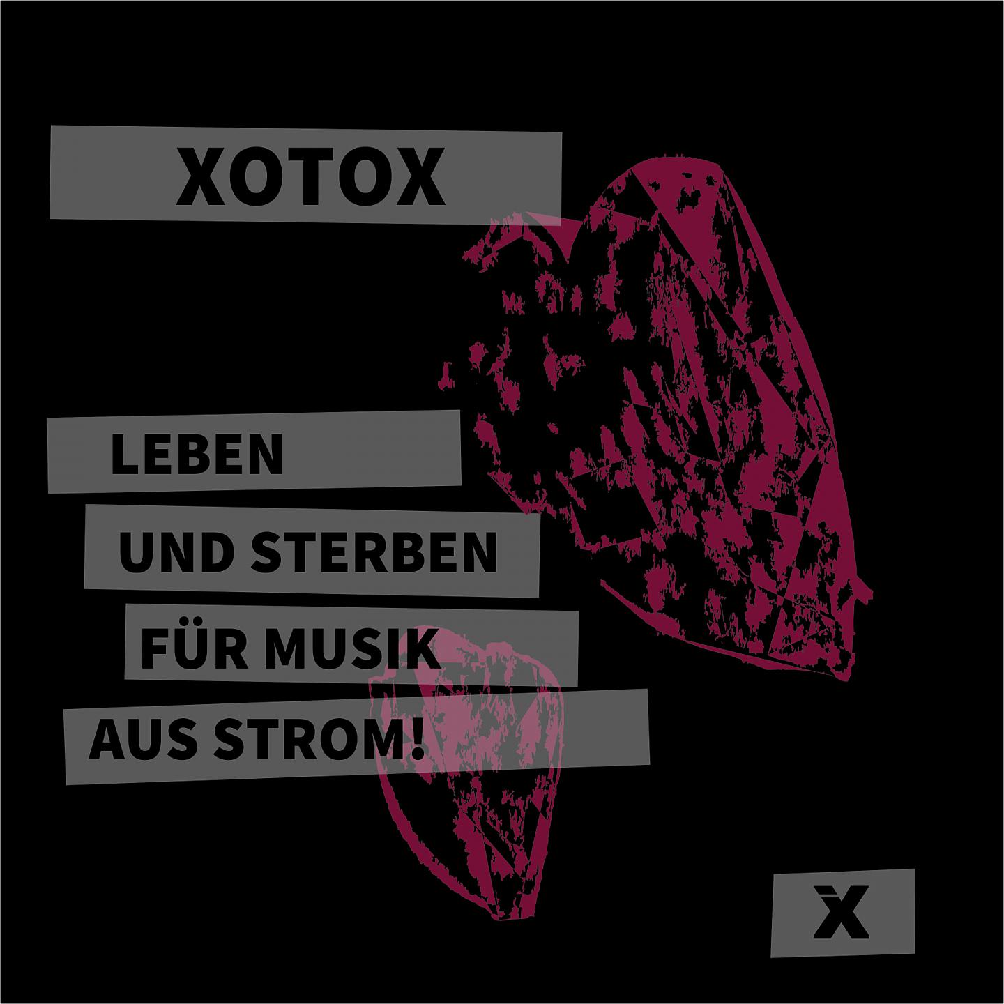 Постер альбома Leben Und Sterben Für Musik Aus Strom