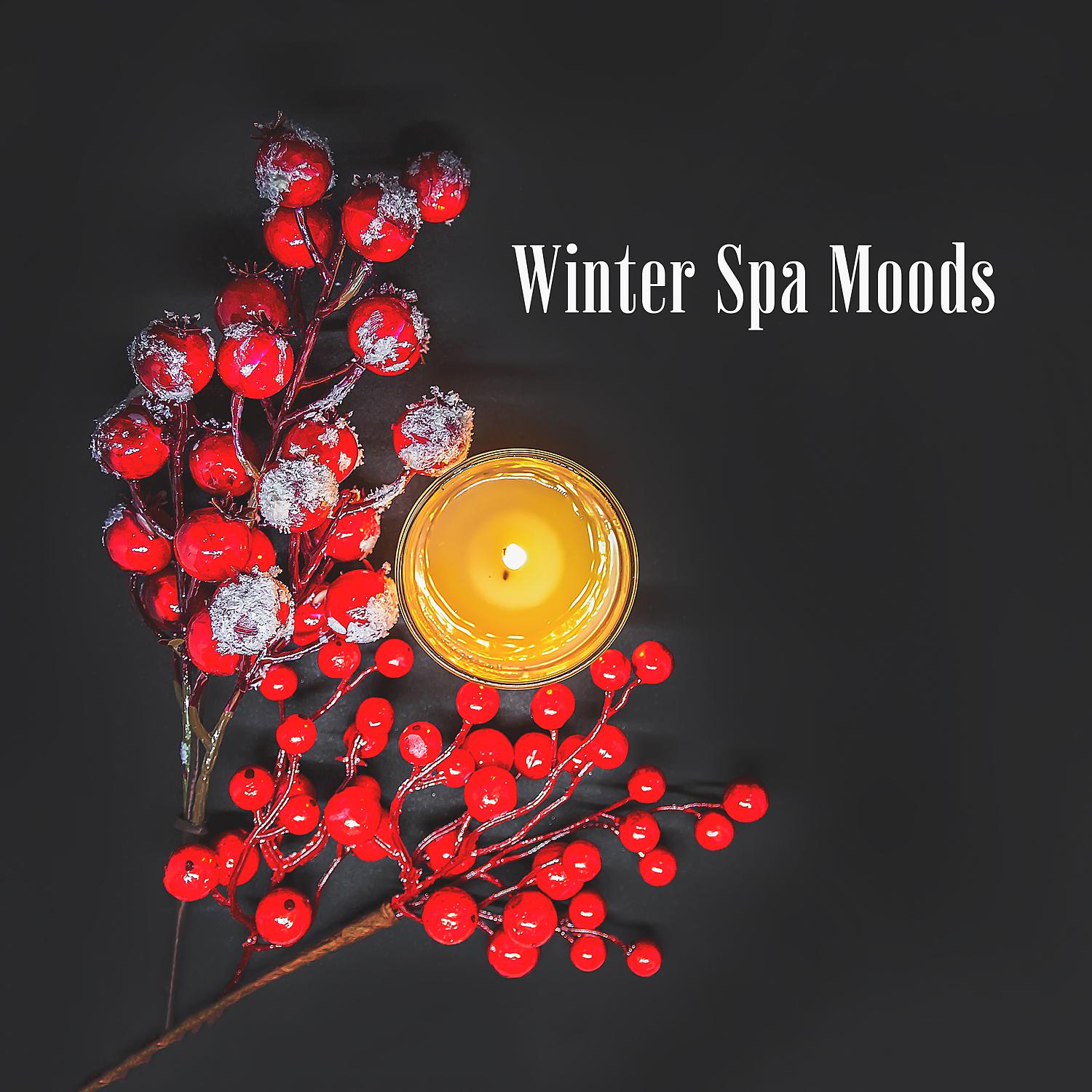 Постер альбома Winter Spa Moods: Relaxation Therapy Music for Massage, Reiki, Meditation Yoga, Zen New Age & Healing Nature Sounds