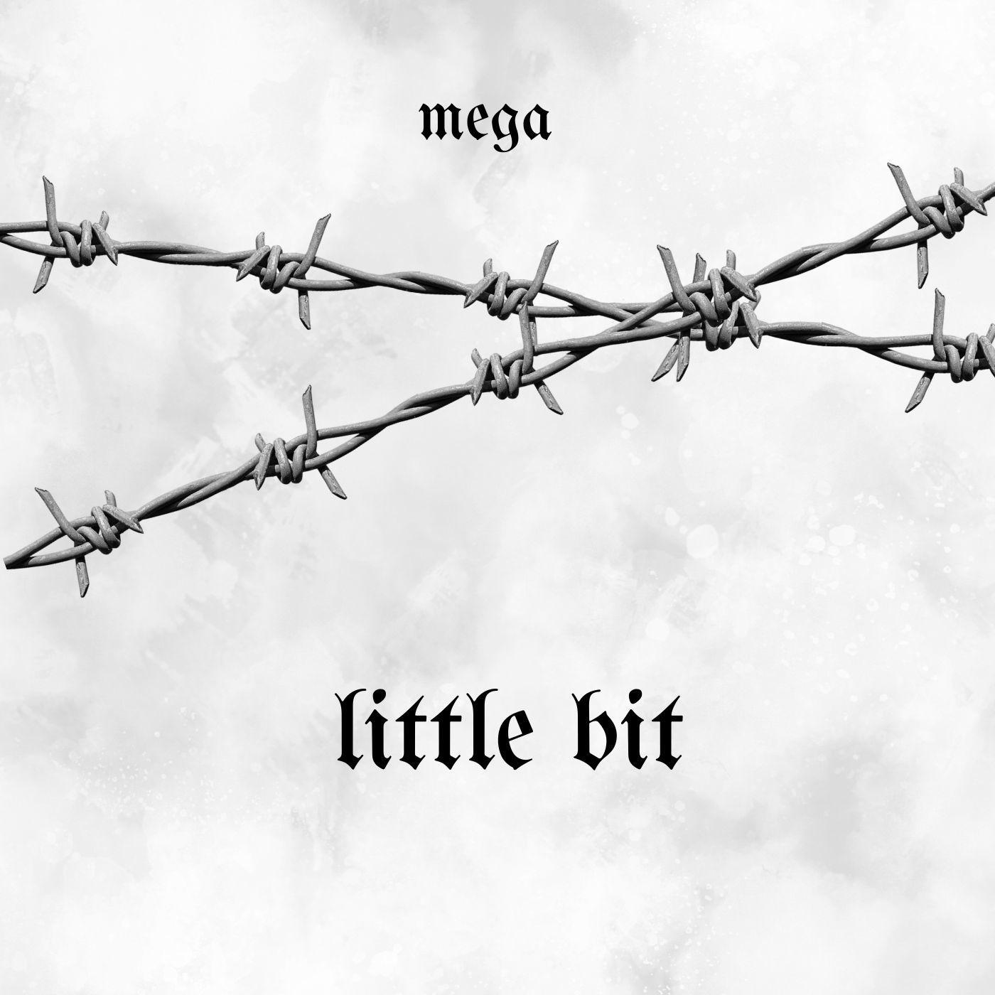 Постер альбома Little Bit