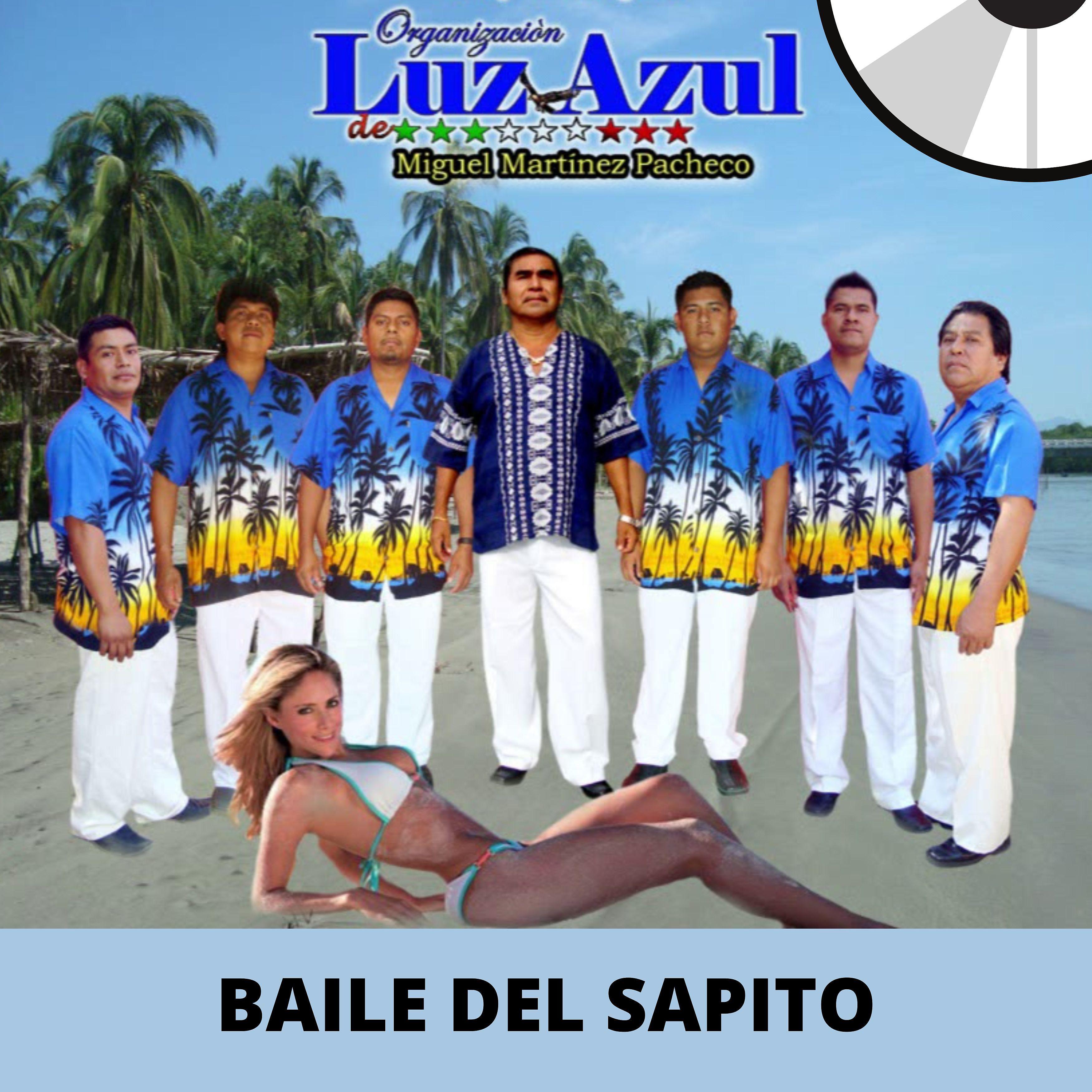 Постер альбома Baile Del Sapito