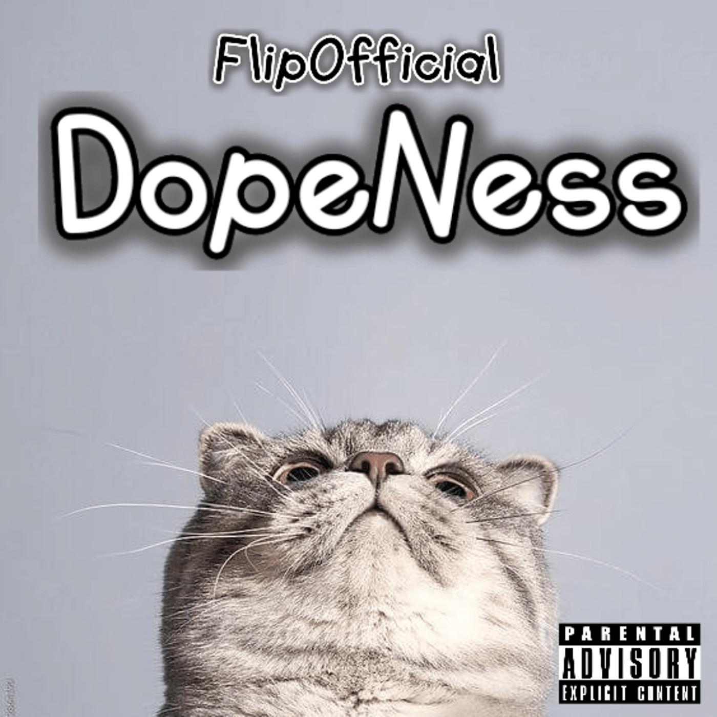 Постер альбома DopeNess