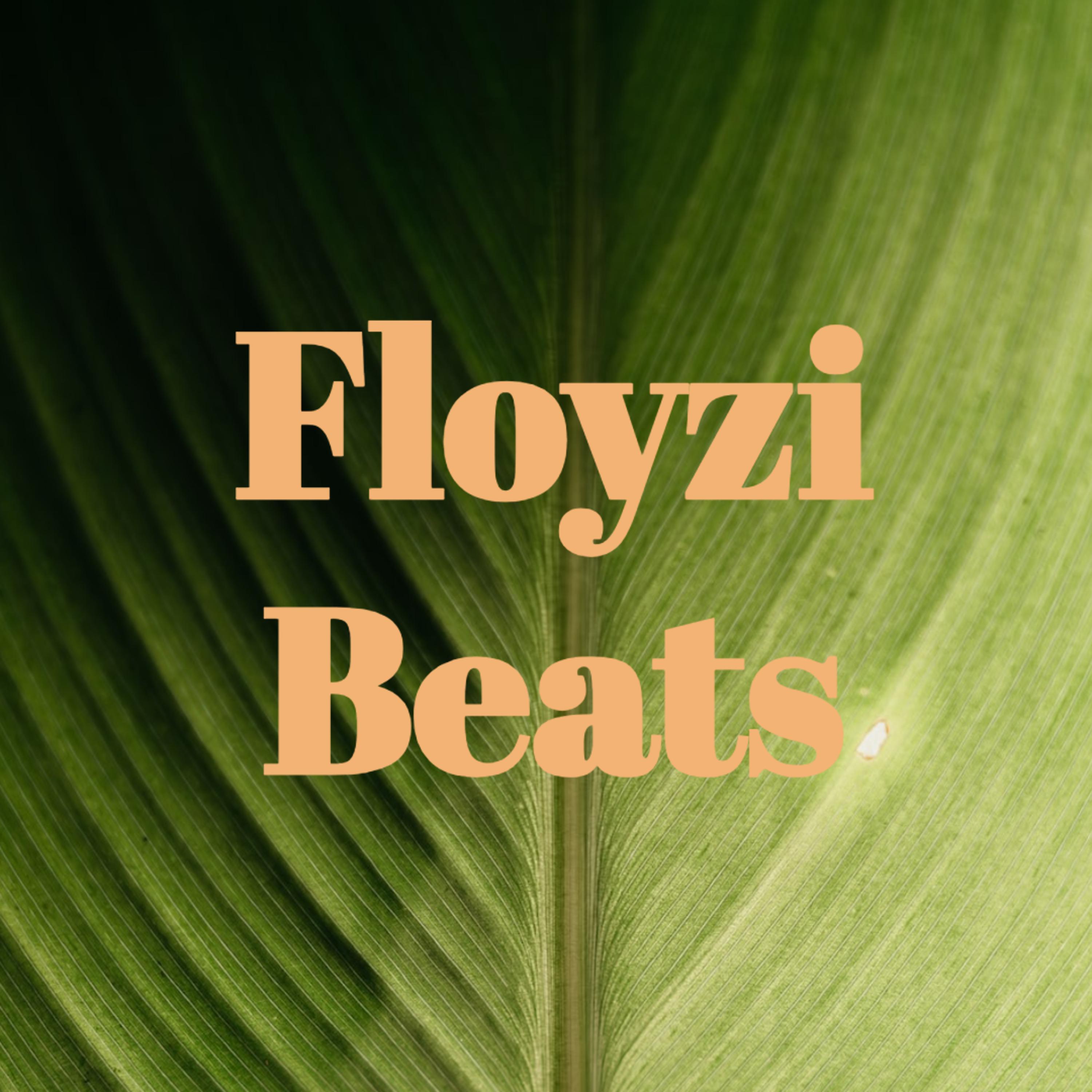 Постер альбома Floyzi Beats
