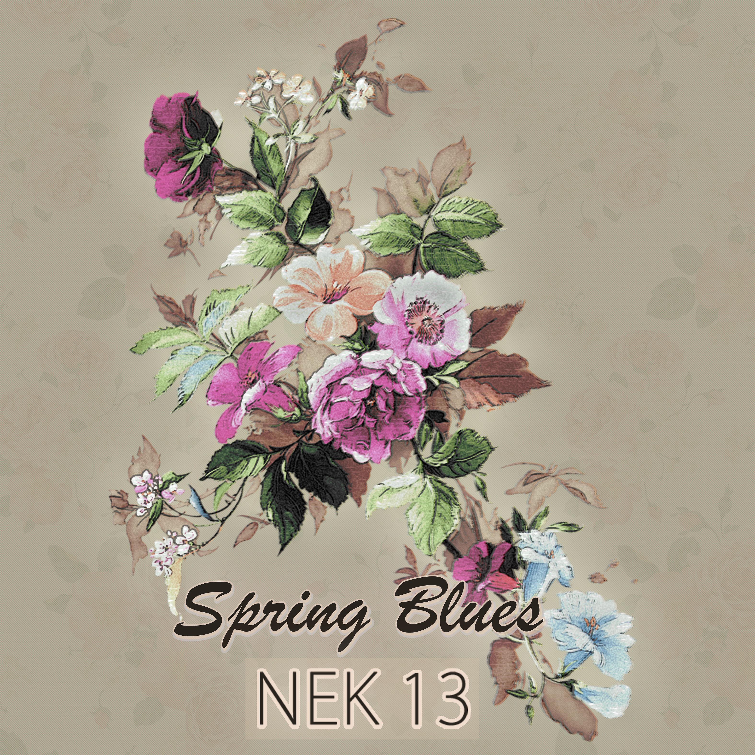 Постер альбома Spring Blues