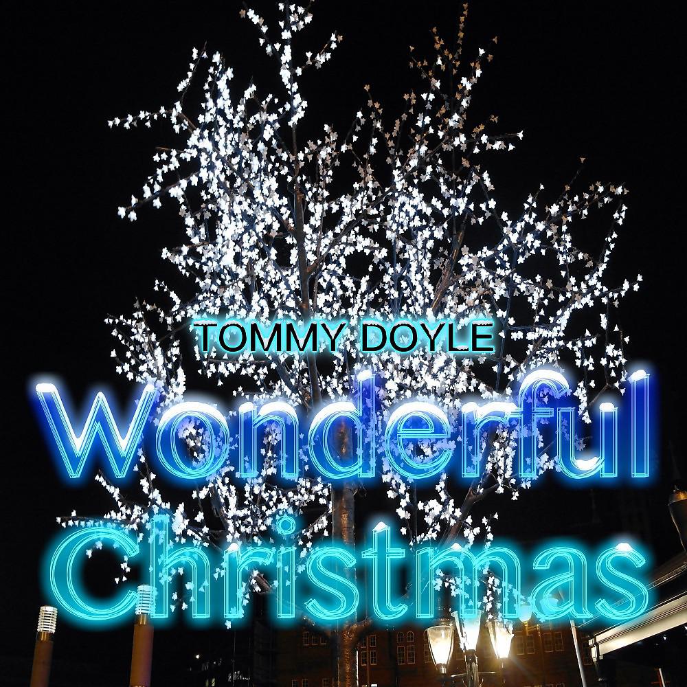 Постер альбома Wonderful Christmas
