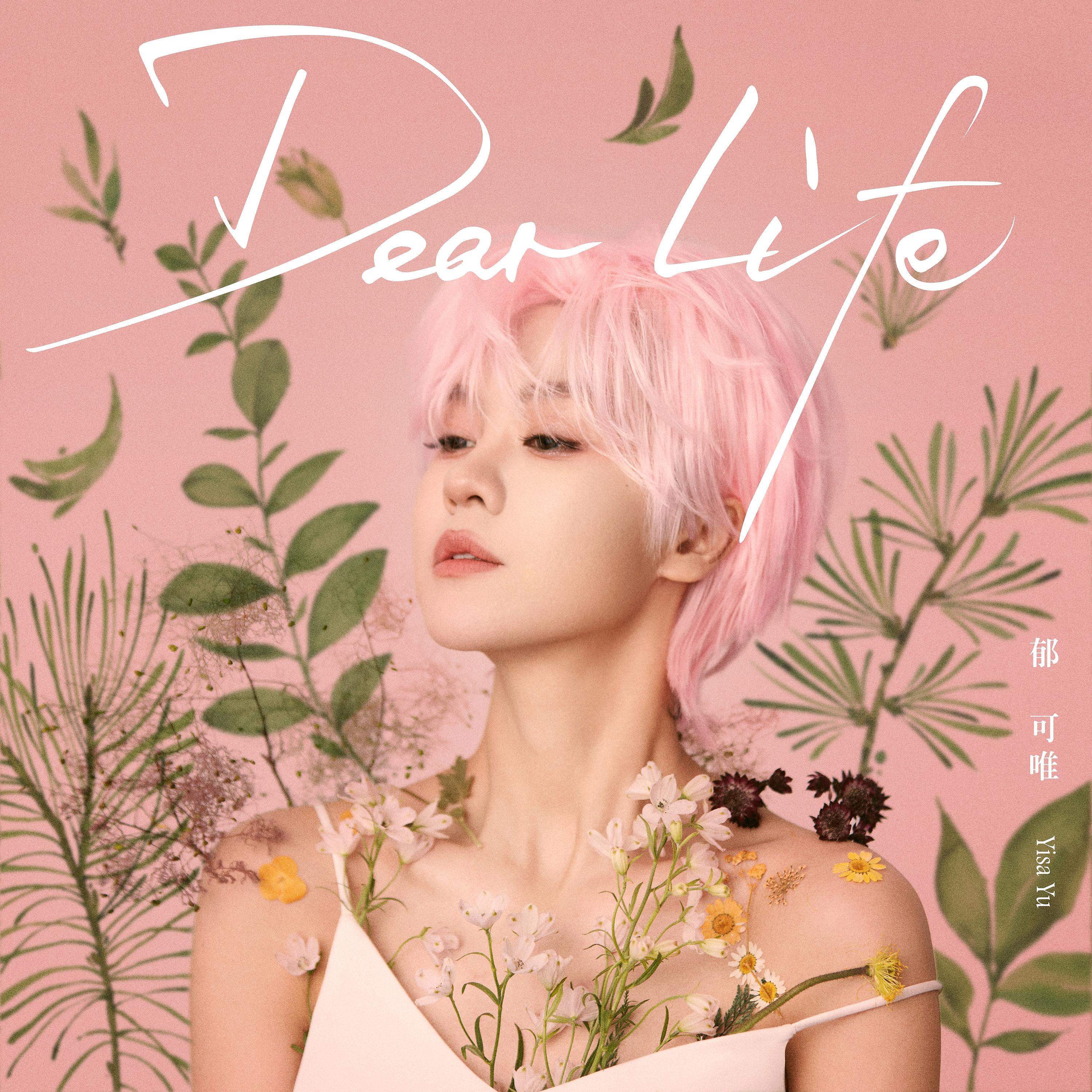 Постер альбома Dear Life