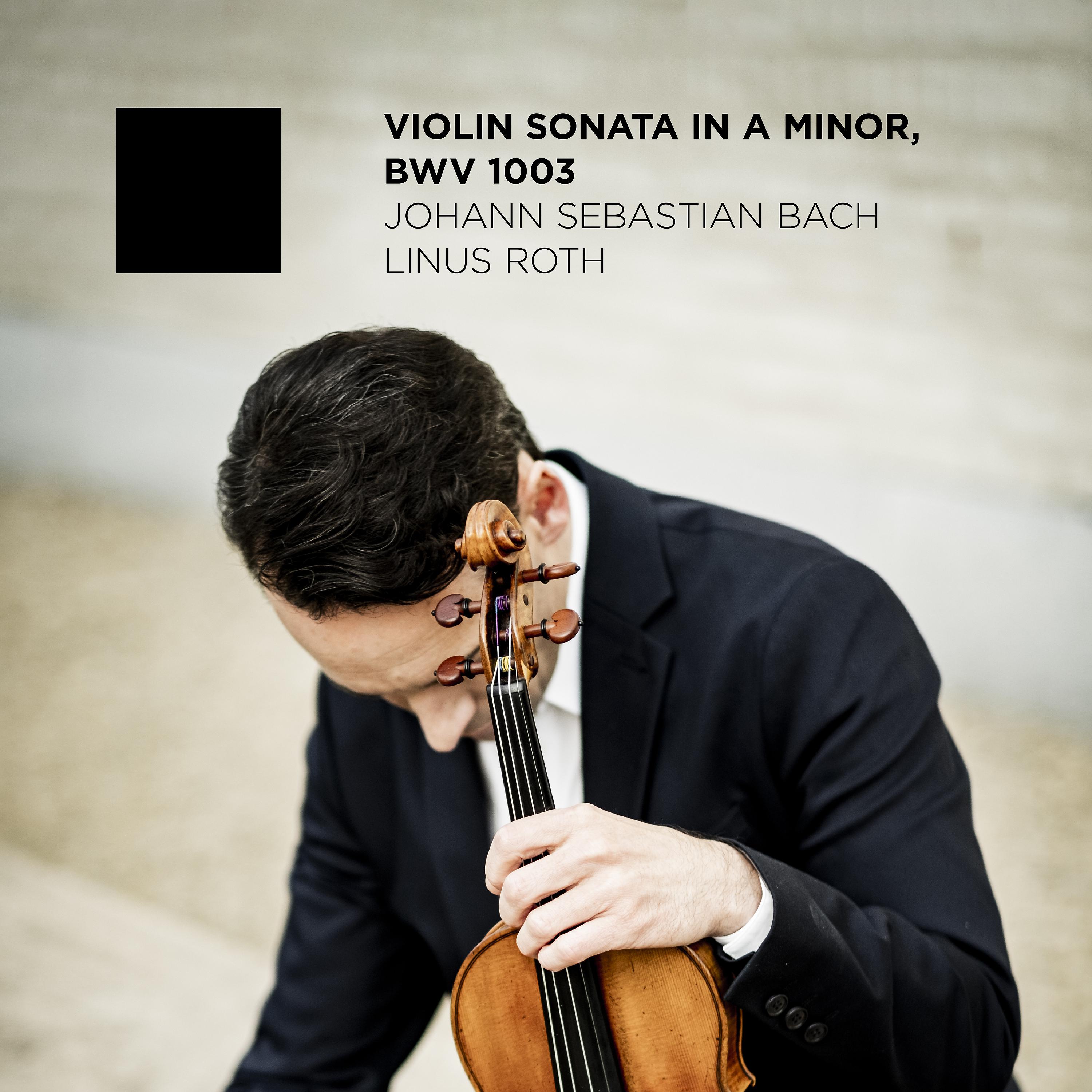 Постер альбома Violin Sonata No. 2 in A minor: III. Andante