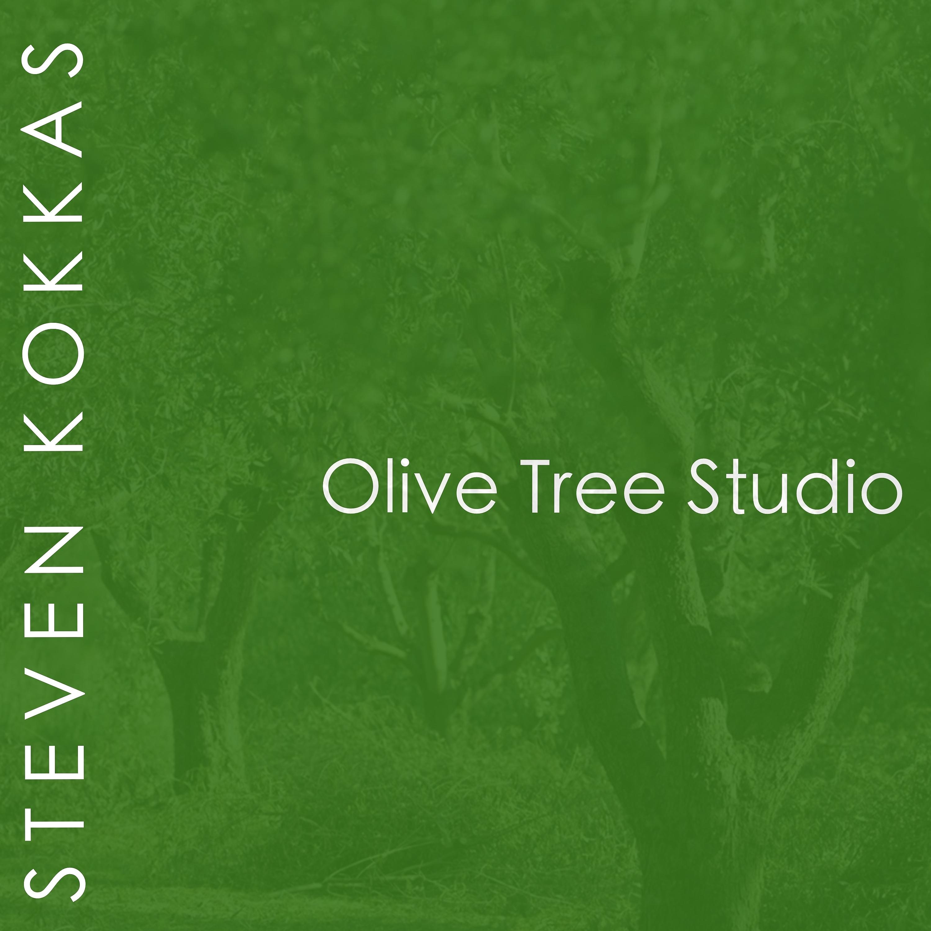Постер альбома Olive Tree Studio