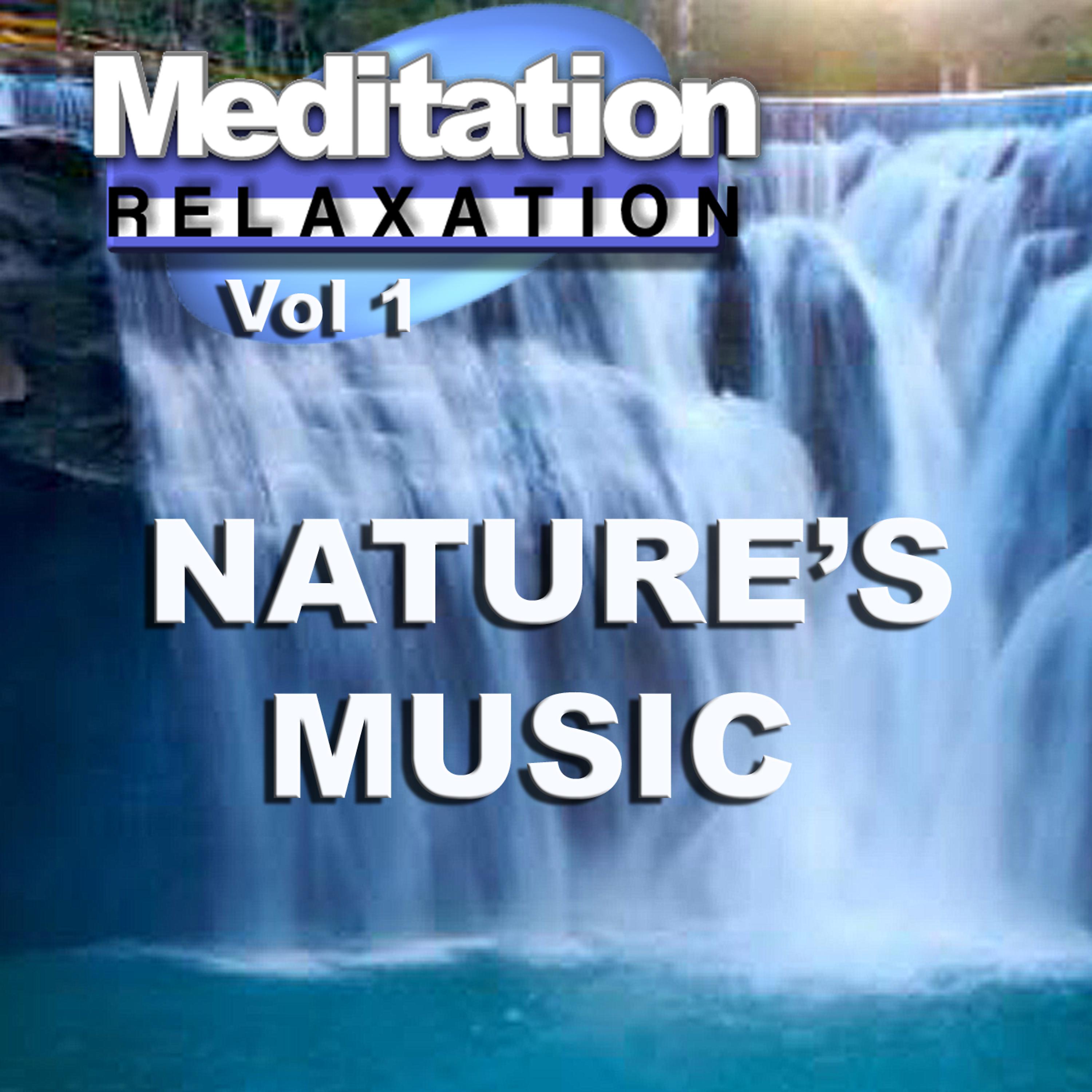 Постер альбома Meditation & Relaxation Vol 1
