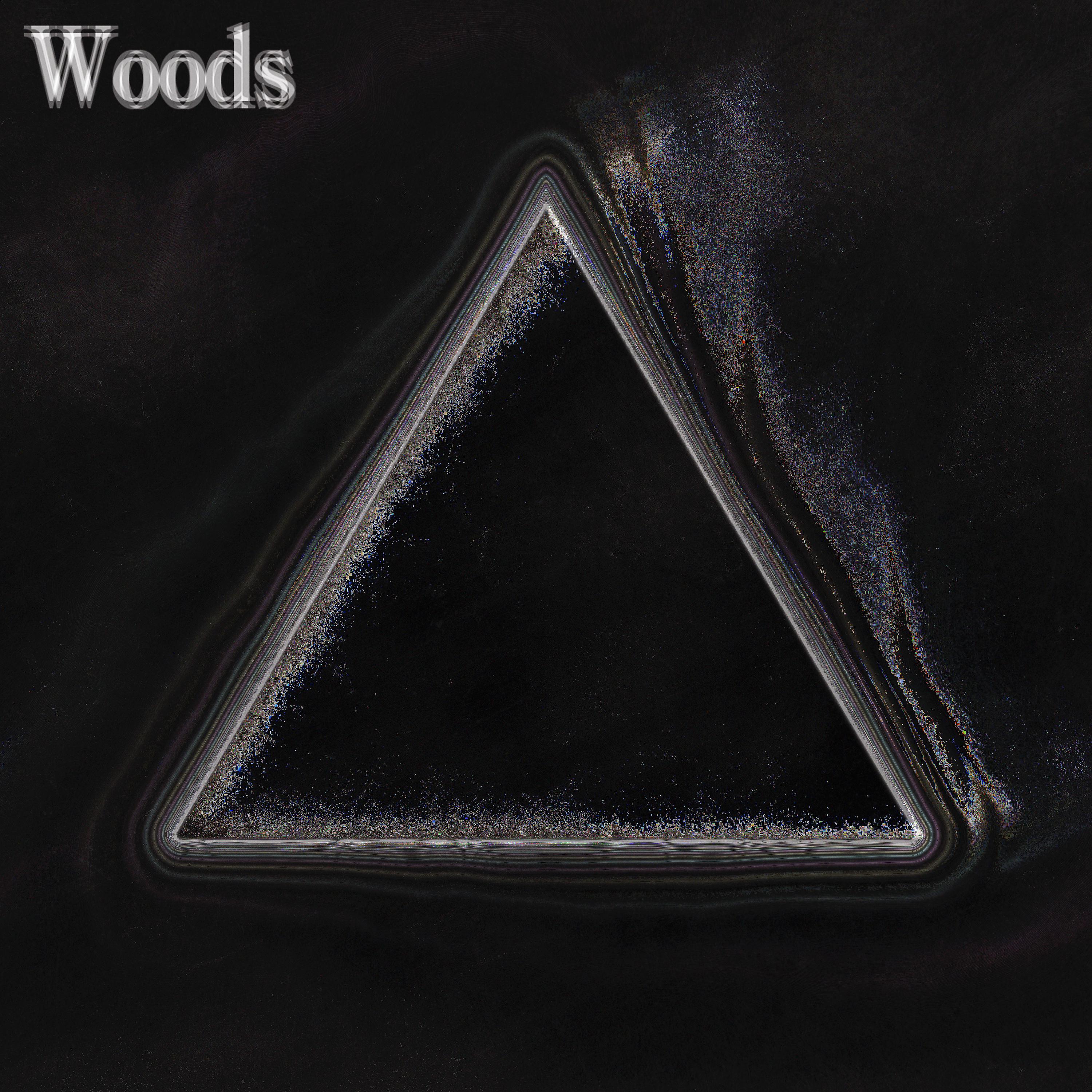 Постер альбома Woods