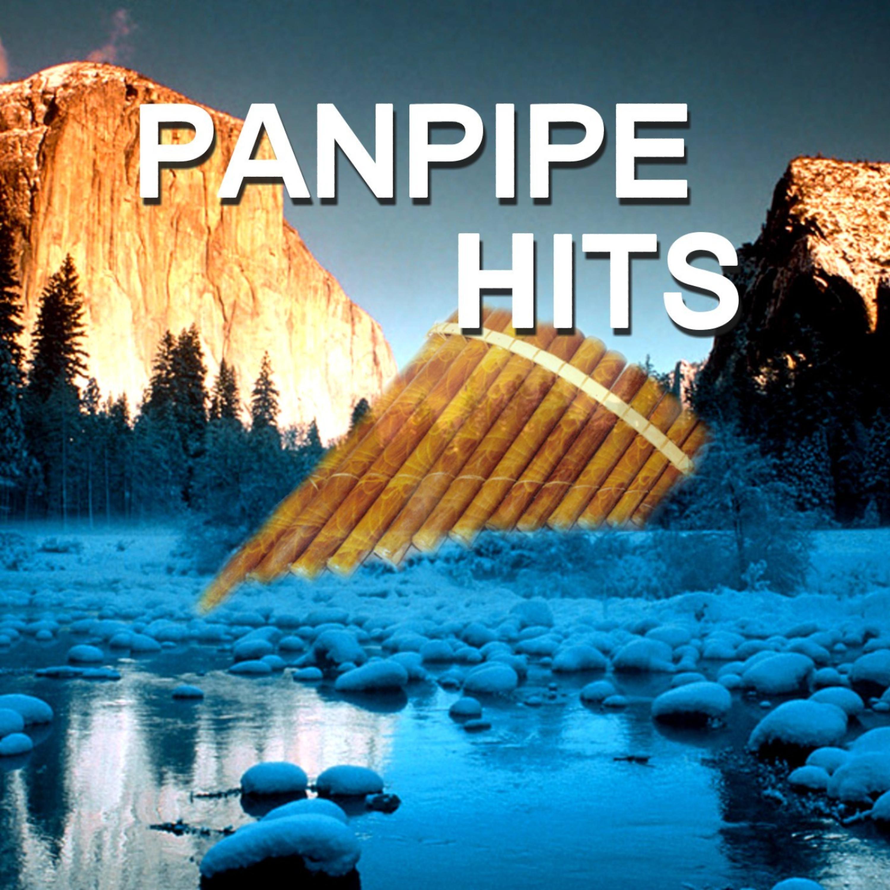 Постер альбома Pan Pipe Hits