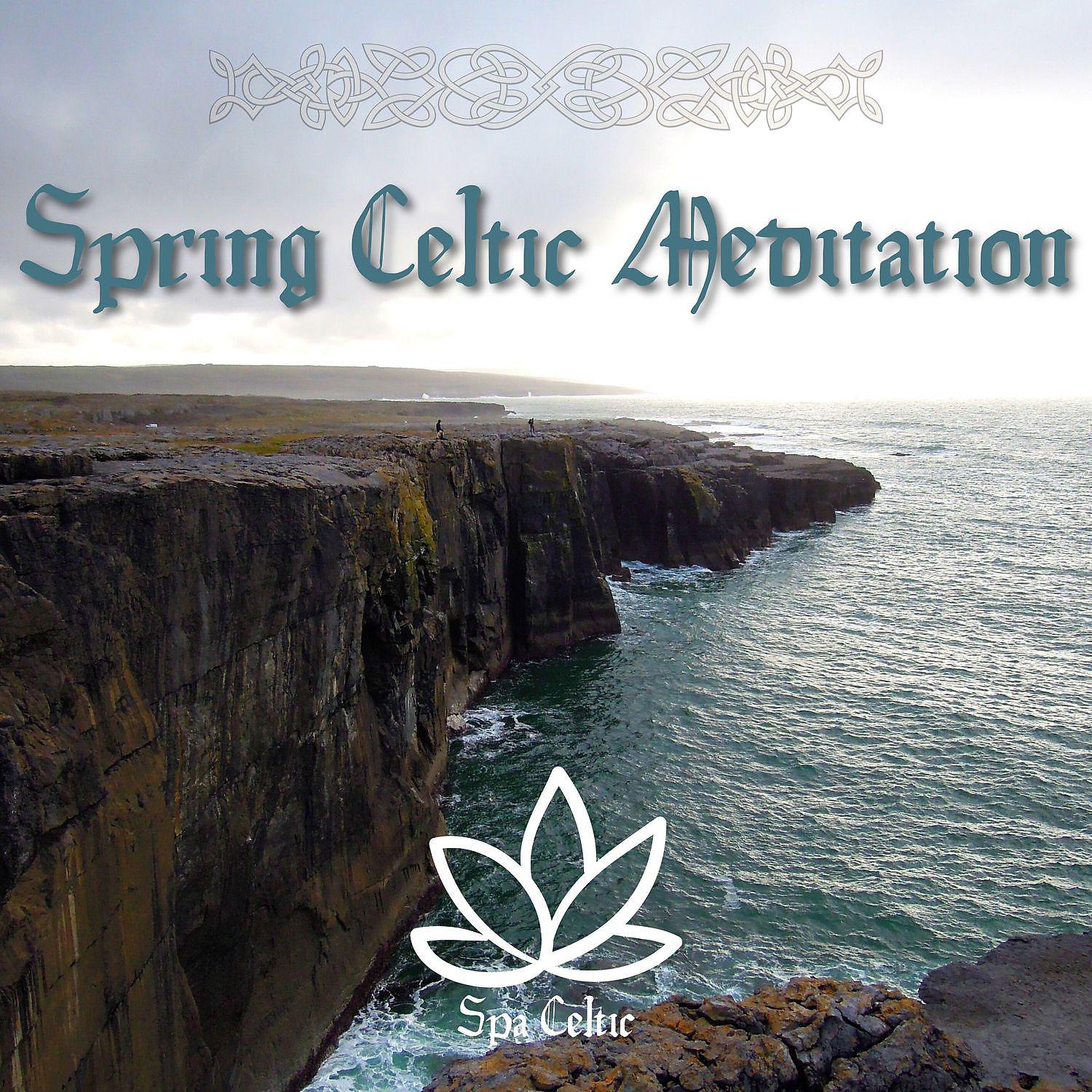 Постер альбома Spring Celtic Meditation