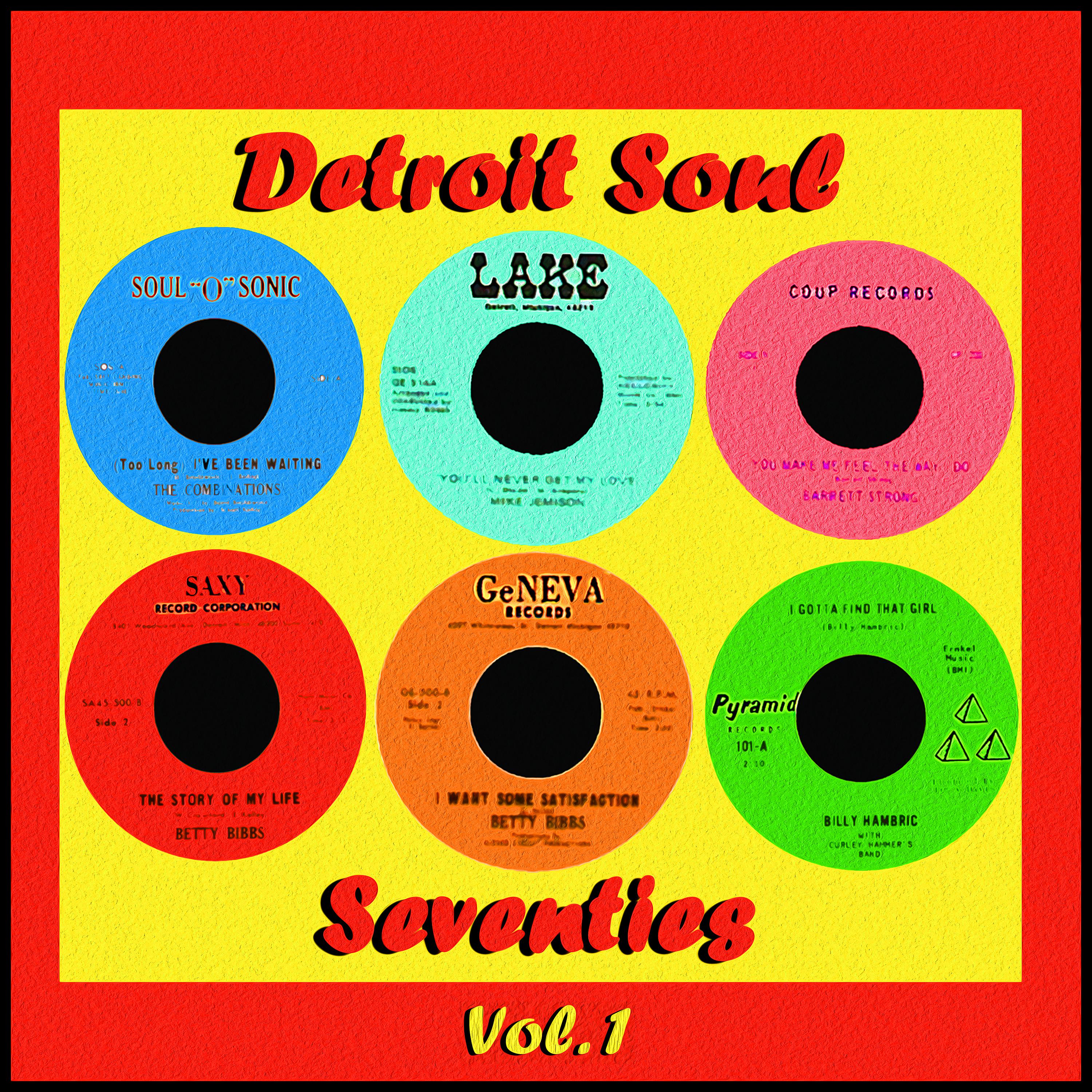 Постер альбома Detroit Soul - Seventies, Vol. 1