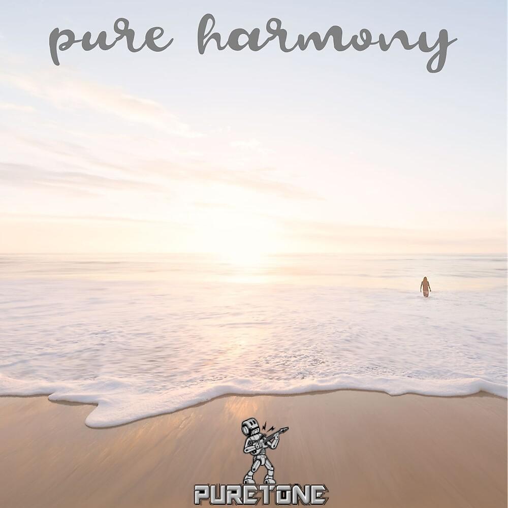 Постер альбома Pure Harmony