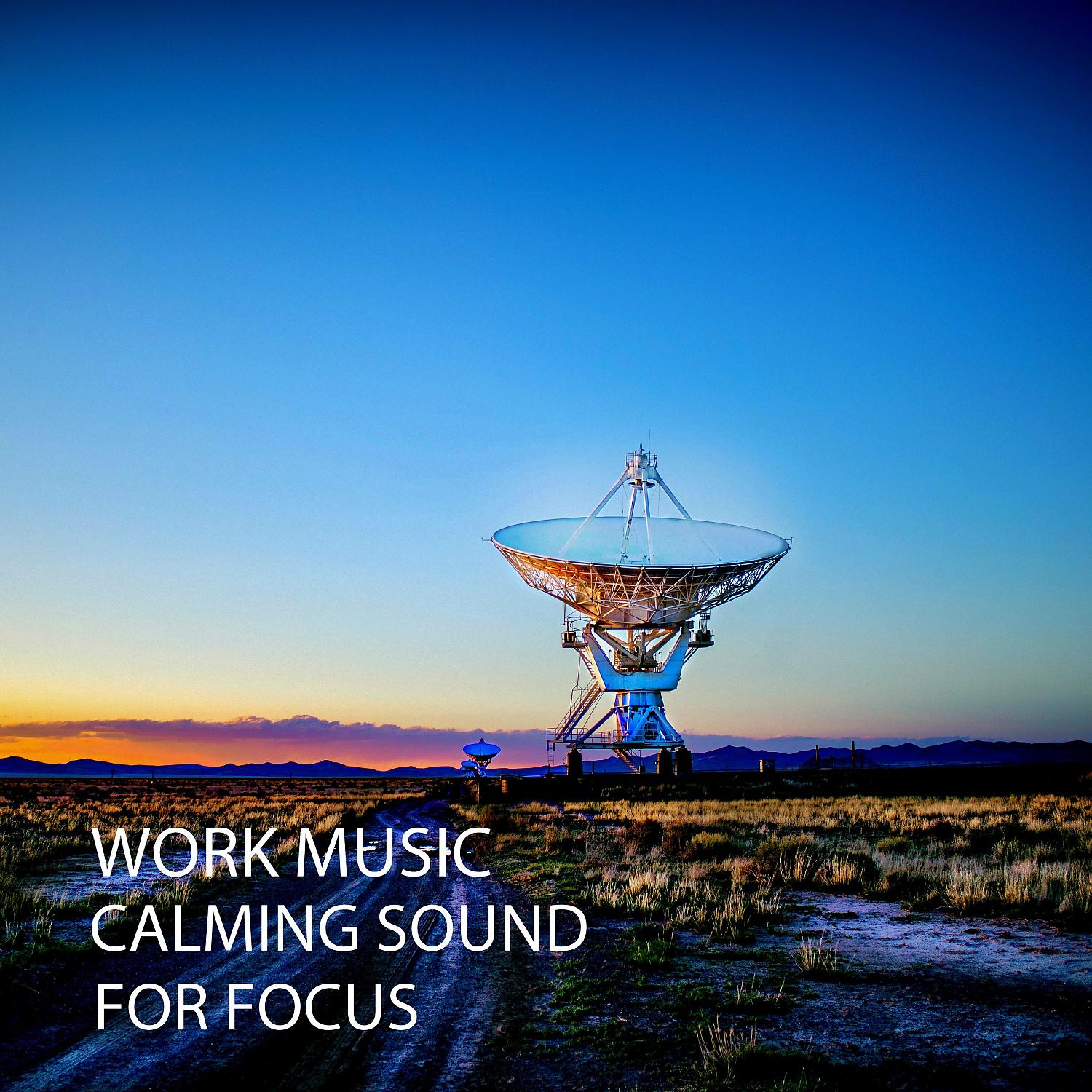 Постер альбома Work Music: Calming Sound For Focus