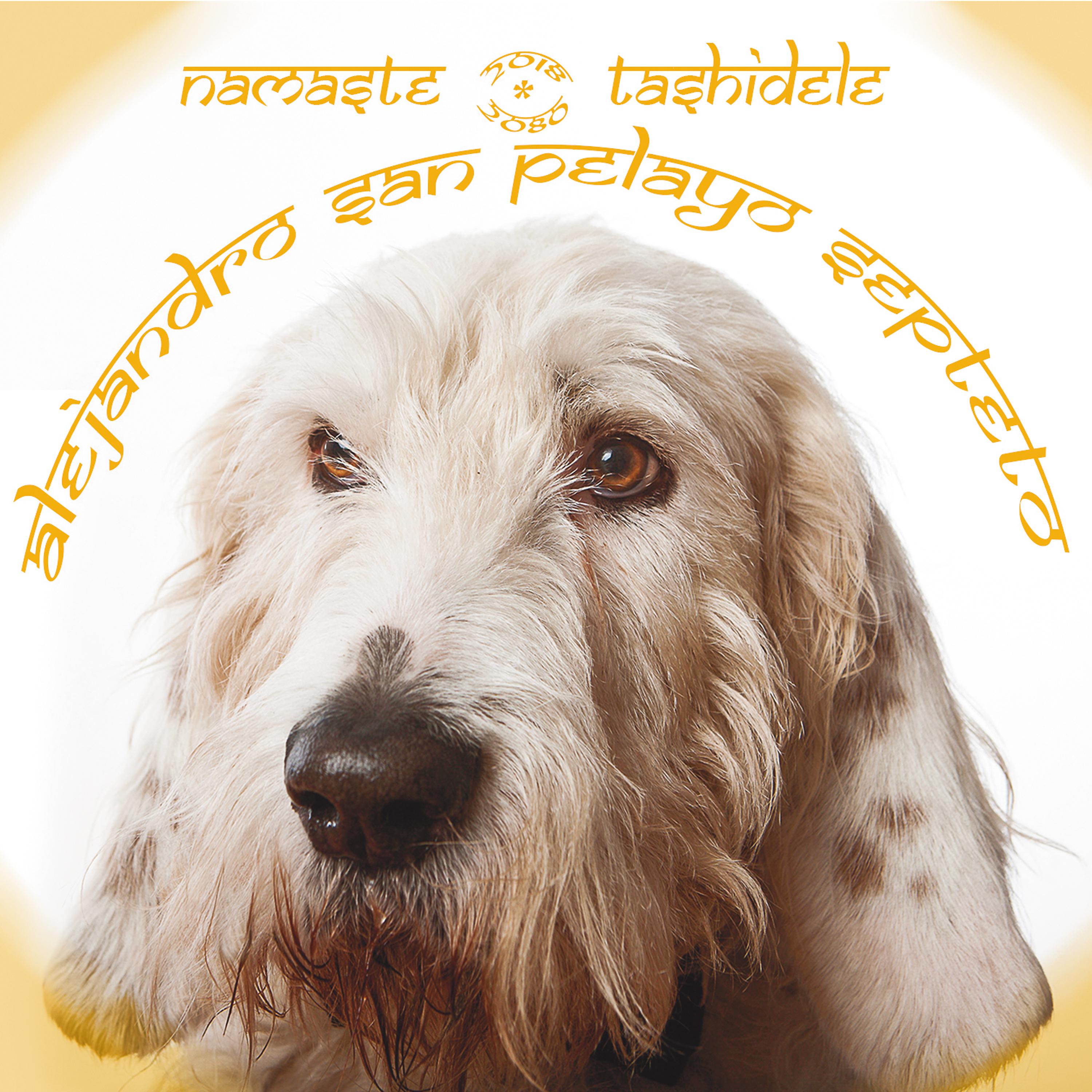 Постер альбома Namaste, Tashidele