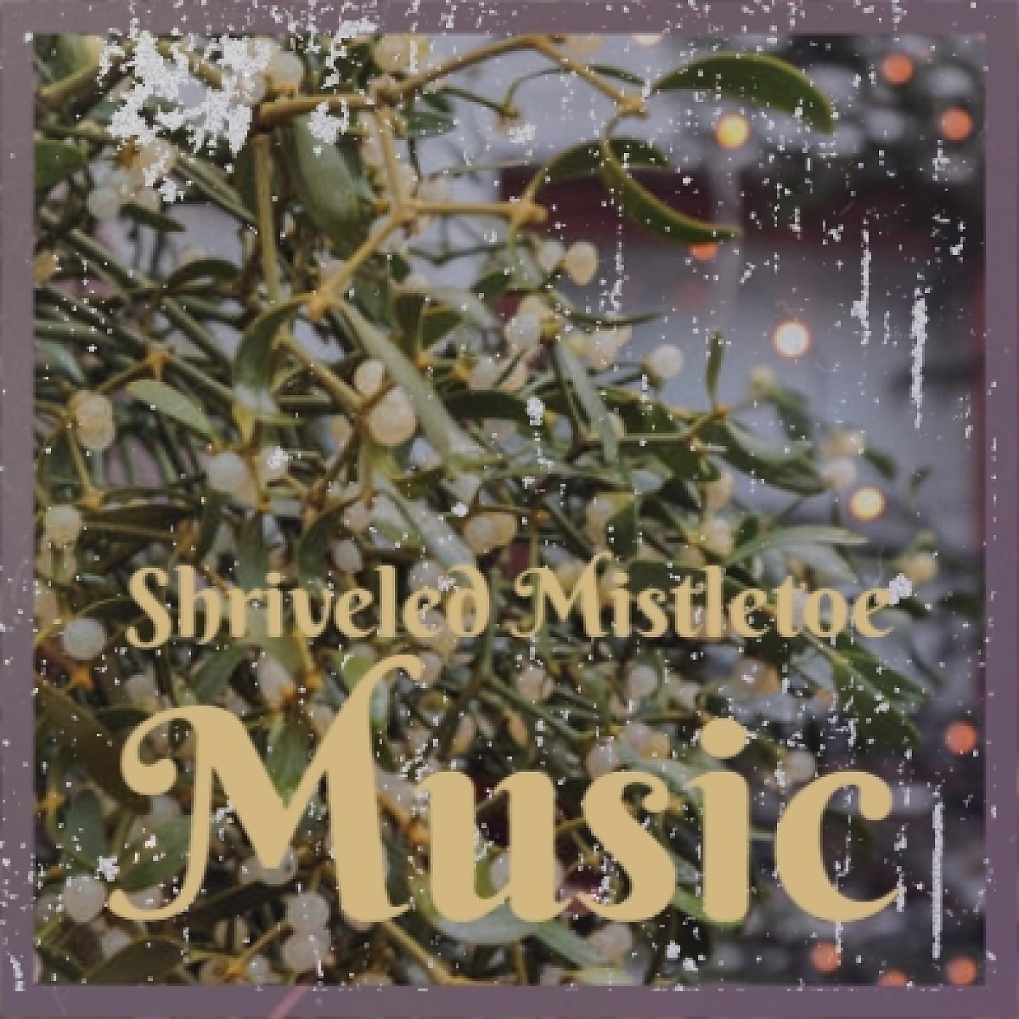Постер альбома Shriveled Mistletoe Music