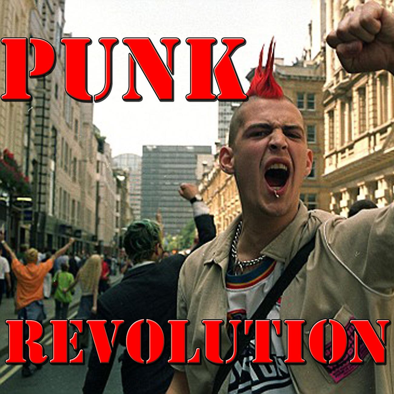 Постер альбома Punk Revolution, Vol.2