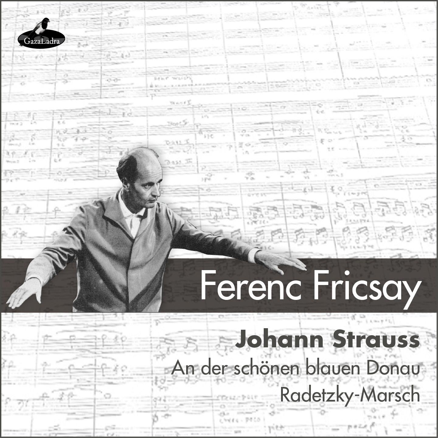 Постер альбома Johann Strauss I & II