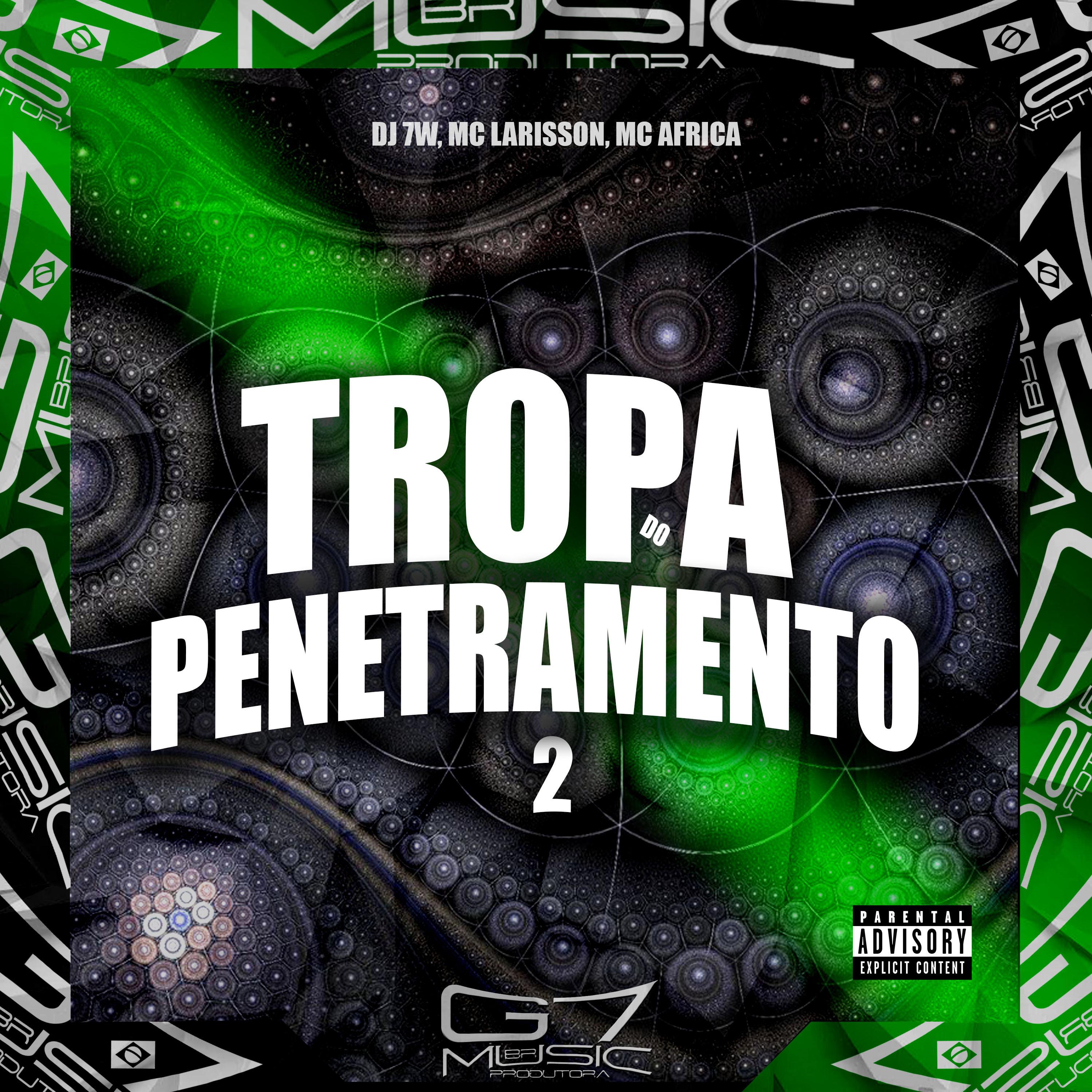 Постер альбома Tropa do Penetramento 2