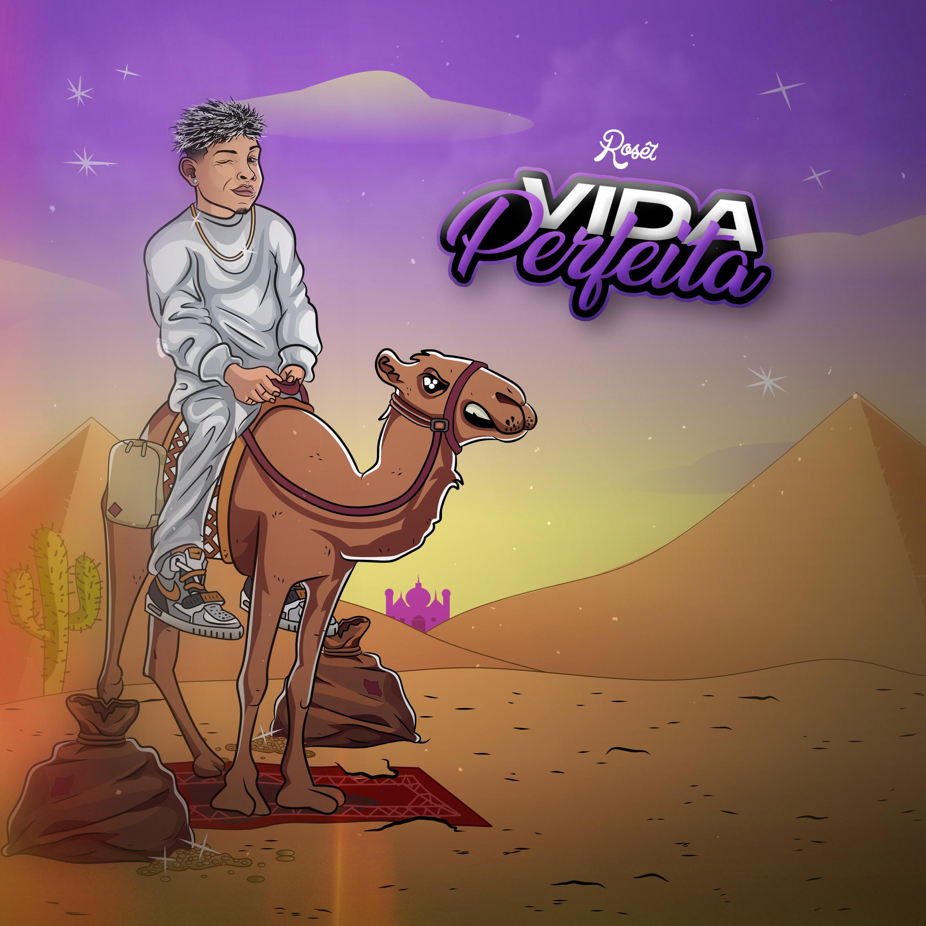 Постер альбома Vida Perfeita