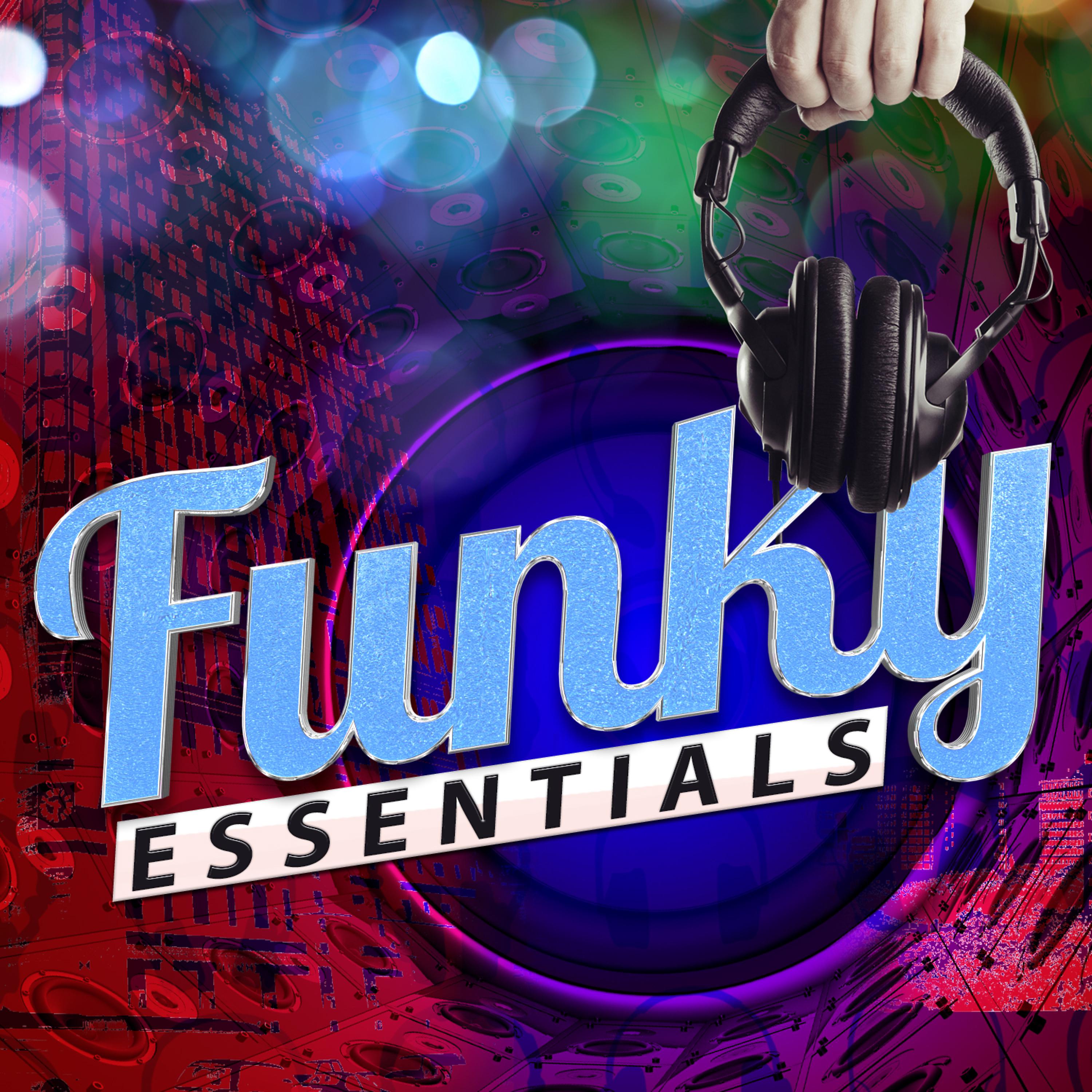 Постер альбома Funky Essentials