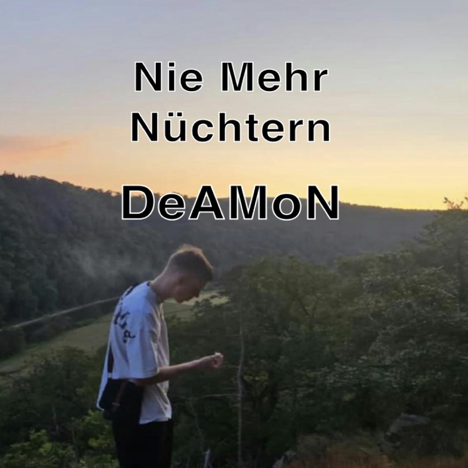 Постер альбома Nie Mehr Nüchtern