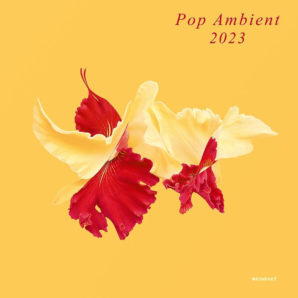 Постер альбома Pop Ambient 2023