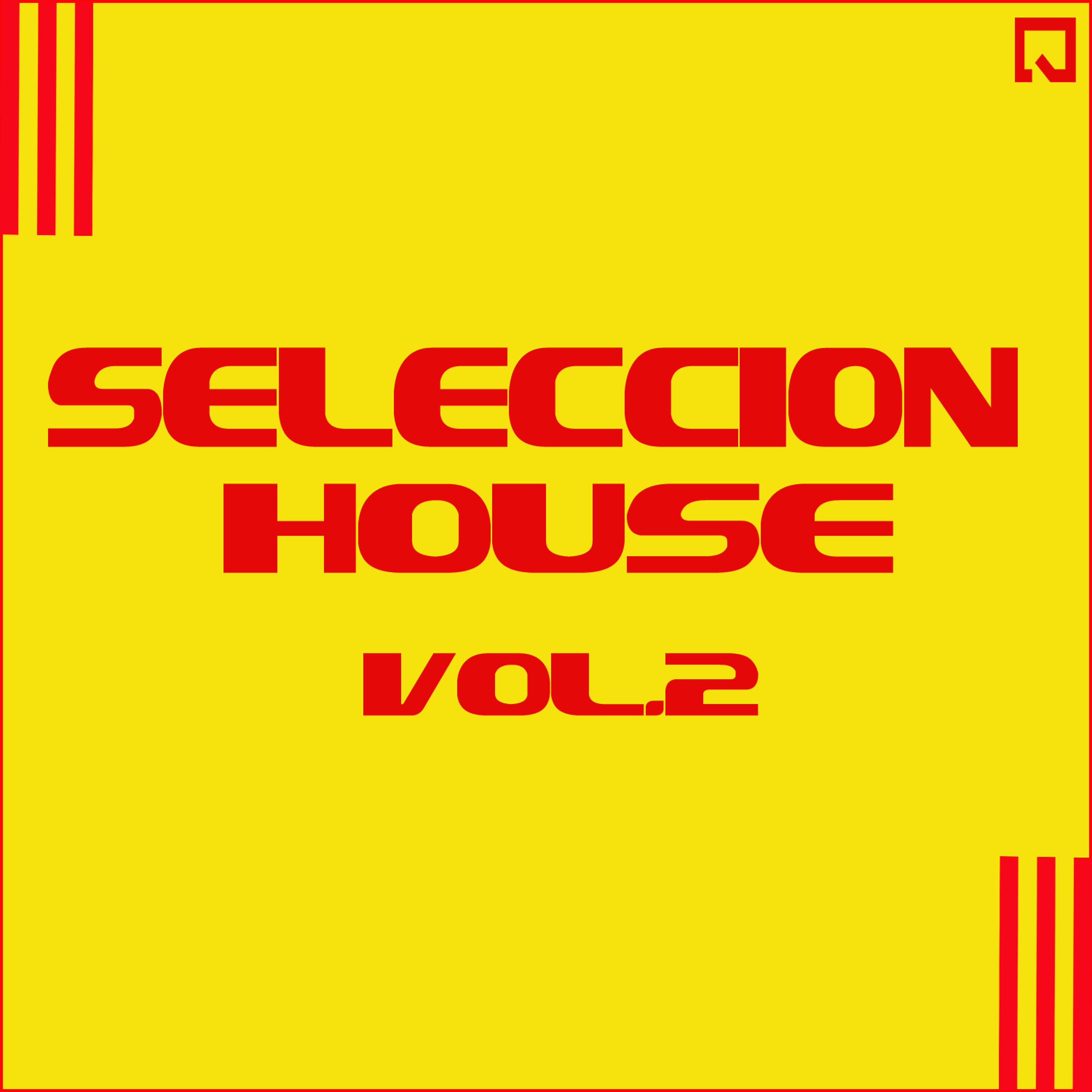 Постер альбома Seleccion House Vol. 2