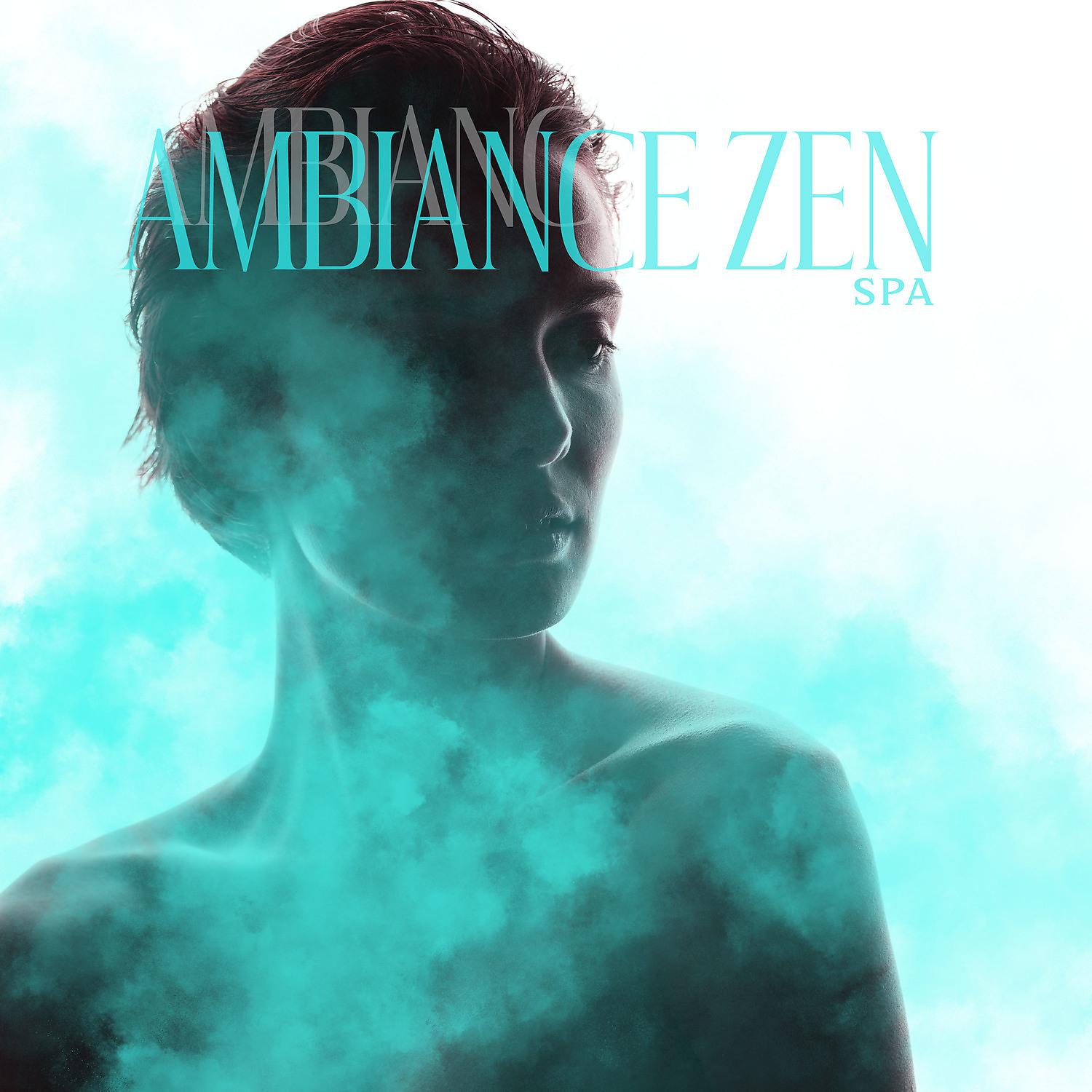 Постер альбома Ambiance zen spa: 1 heure de musique relaxante
