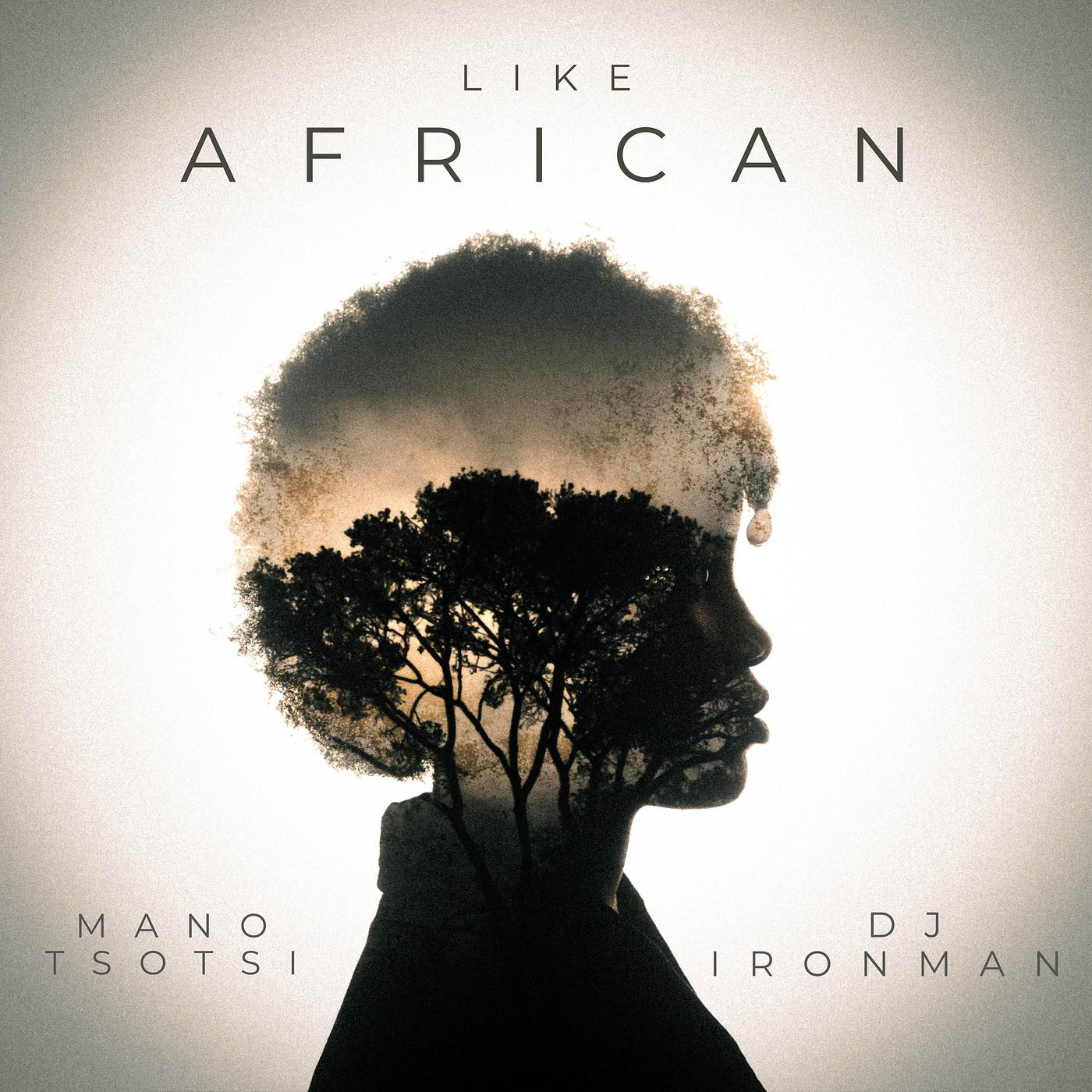 Постер альбома Like African