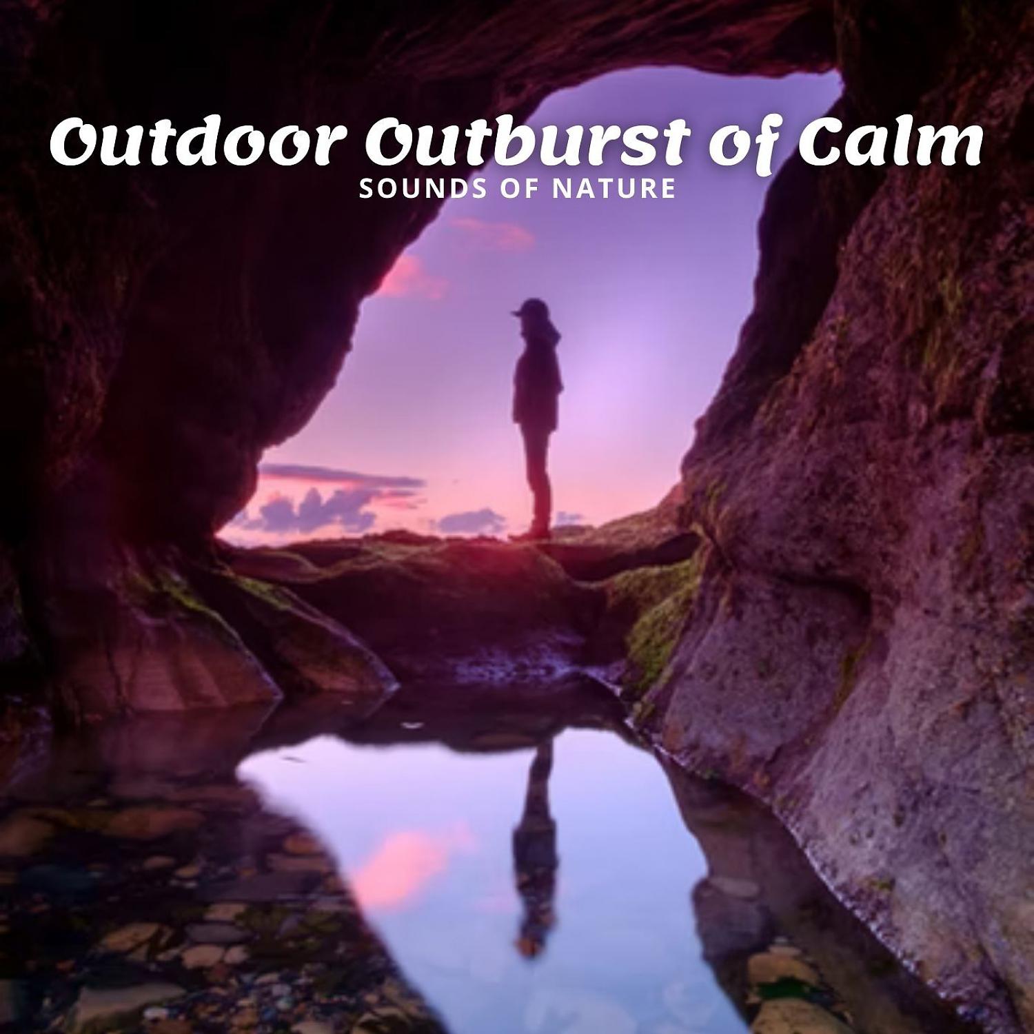 Постер альбома Sounds of Nature: Outdoor Outburst of Calm