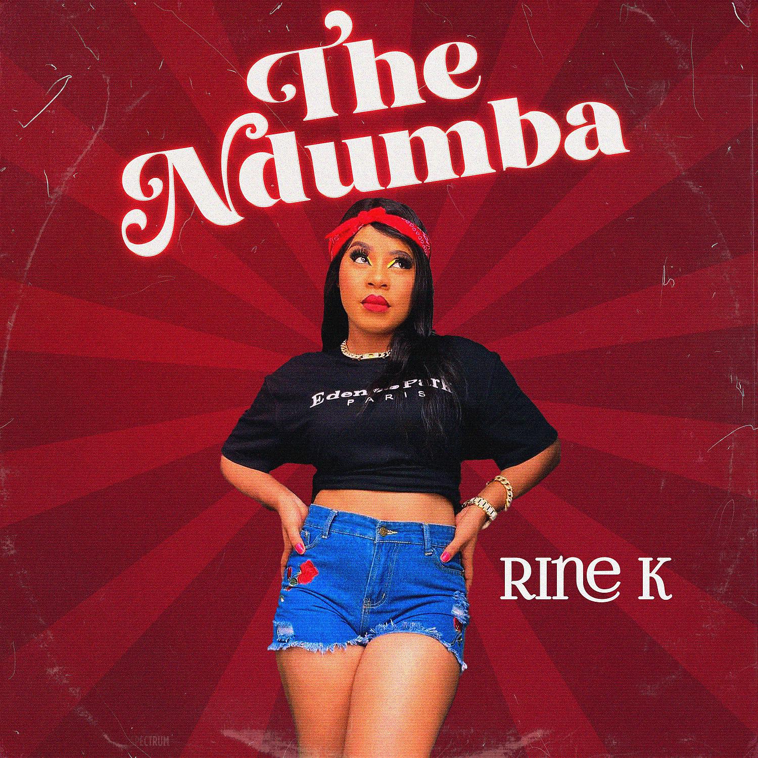 Постер альбома The Ndumba