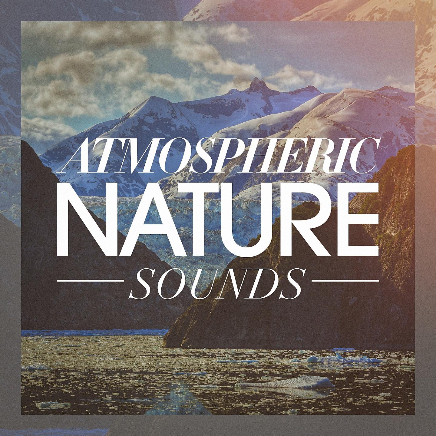 Постер альбома Atmospheric nature sounds