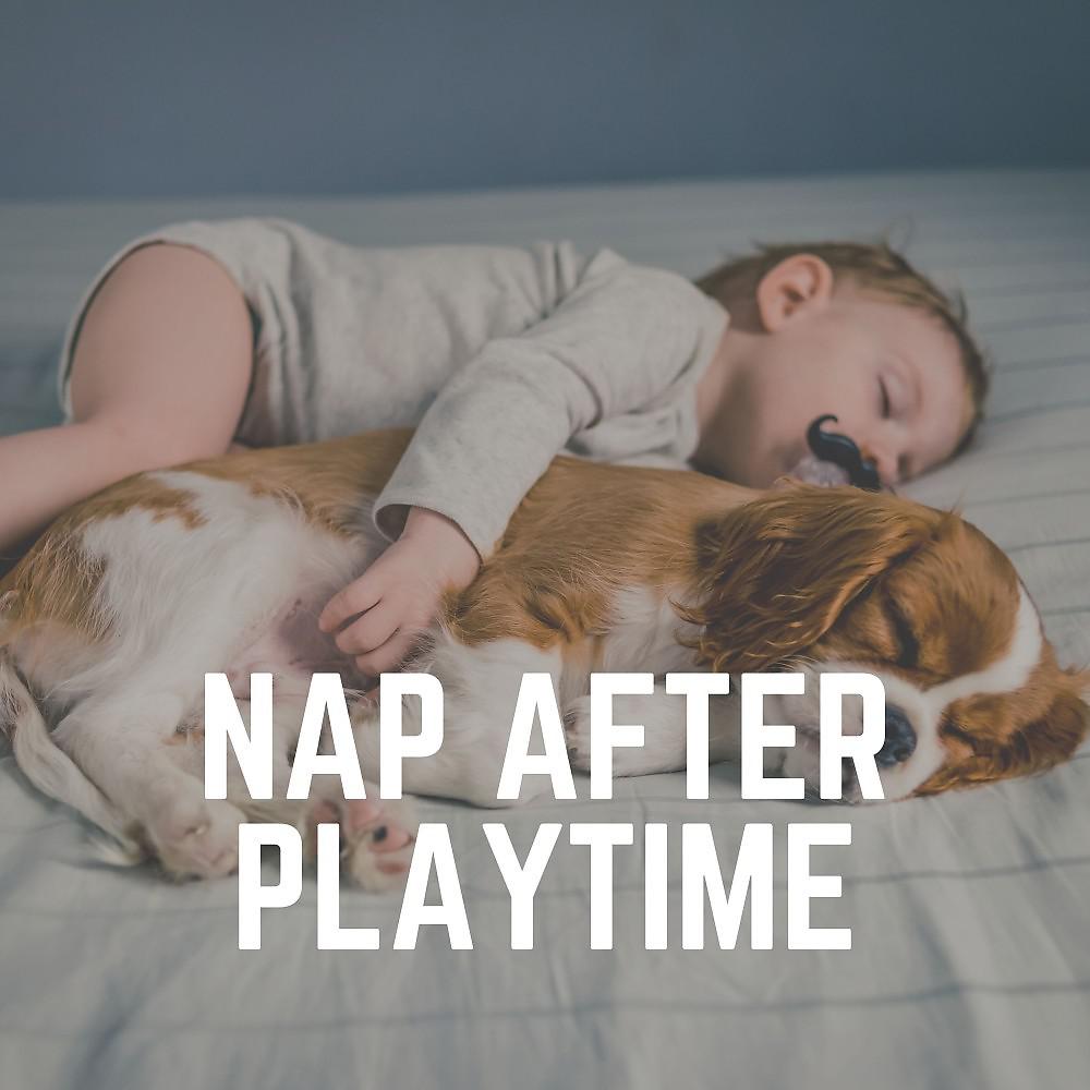 Постер альбома Nap After Playtime