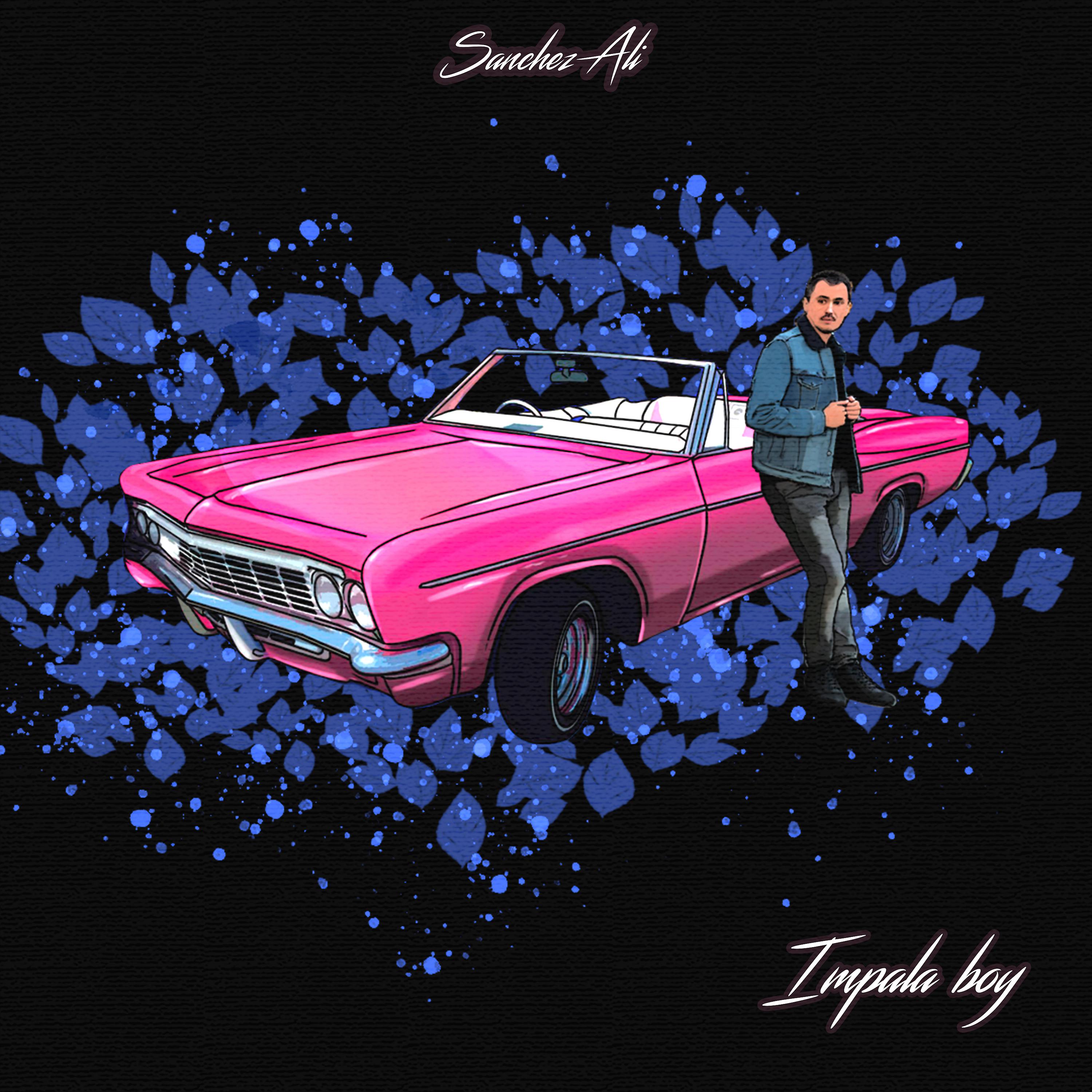 Постер альбома Impala Boy