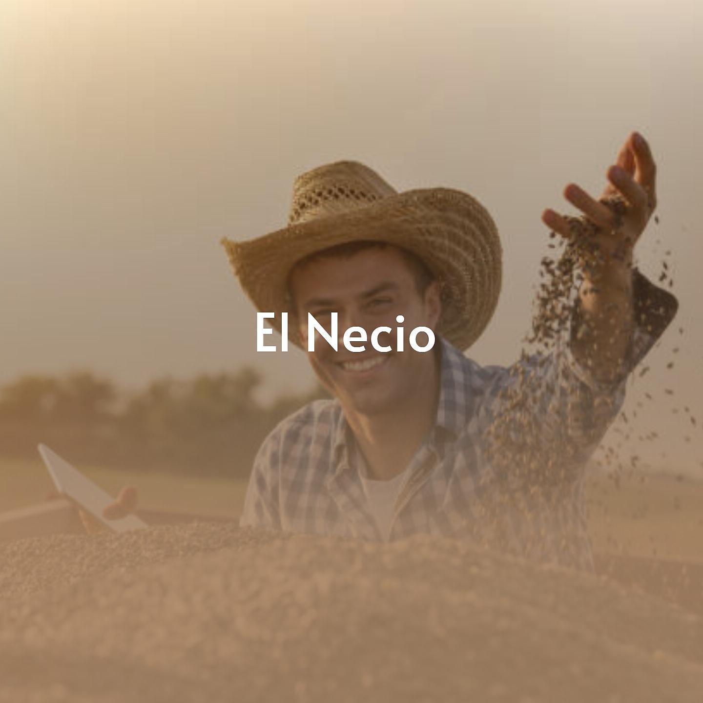 Постер альбома El Necio