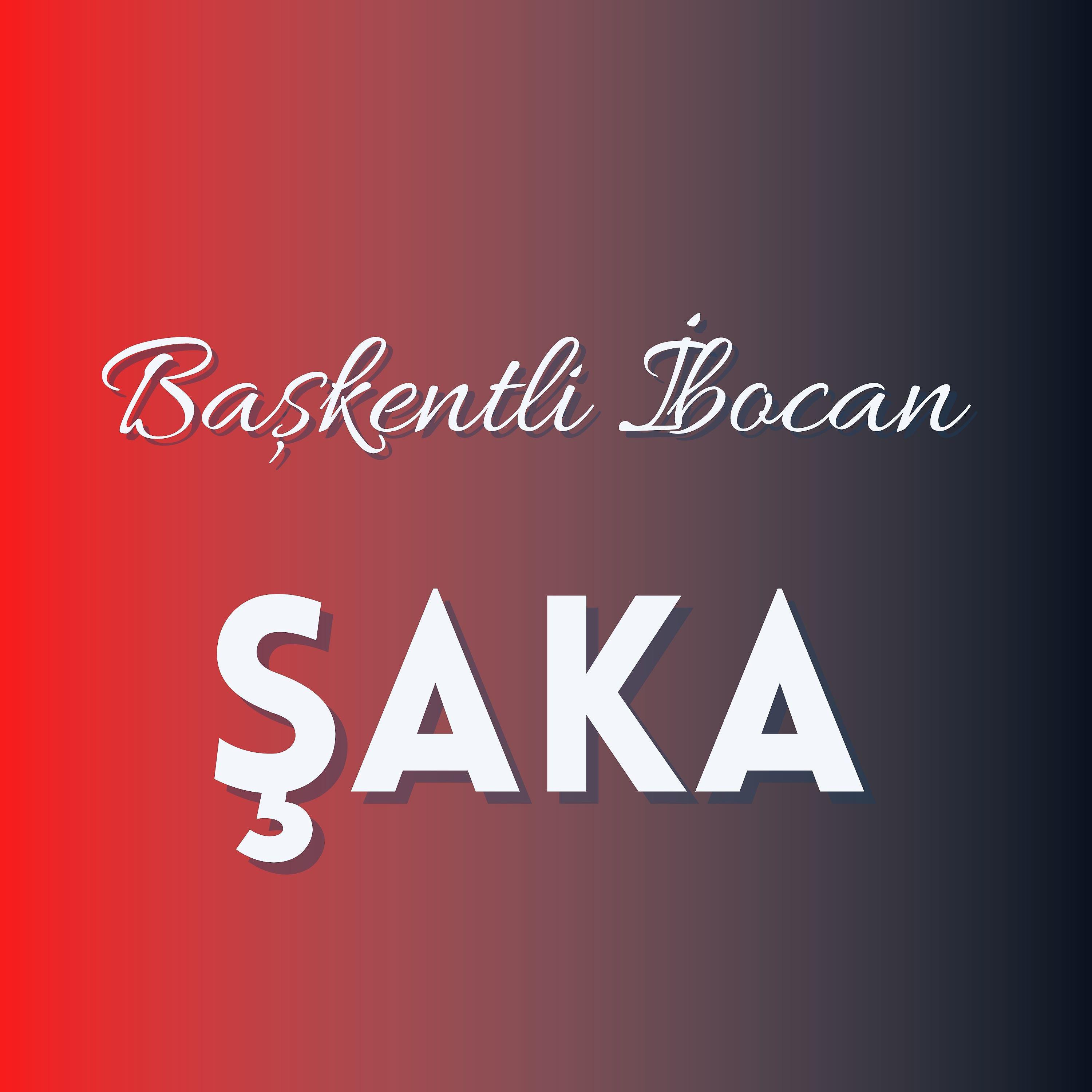 Постер альбома Şaka