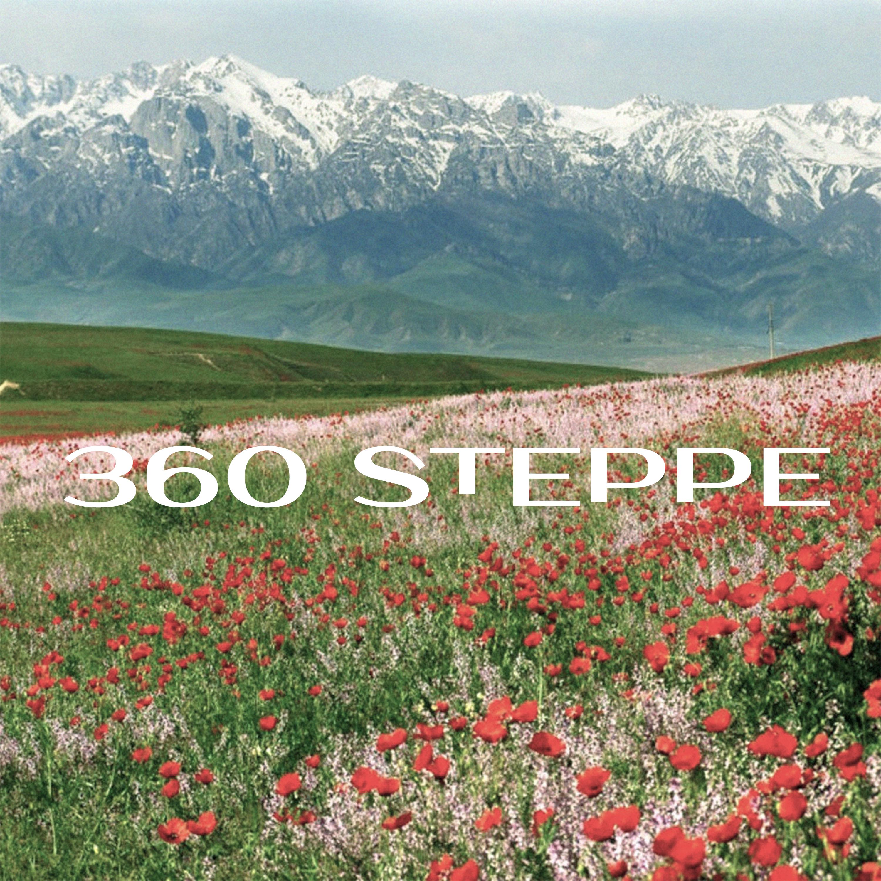 Постер альбома 360 steppe