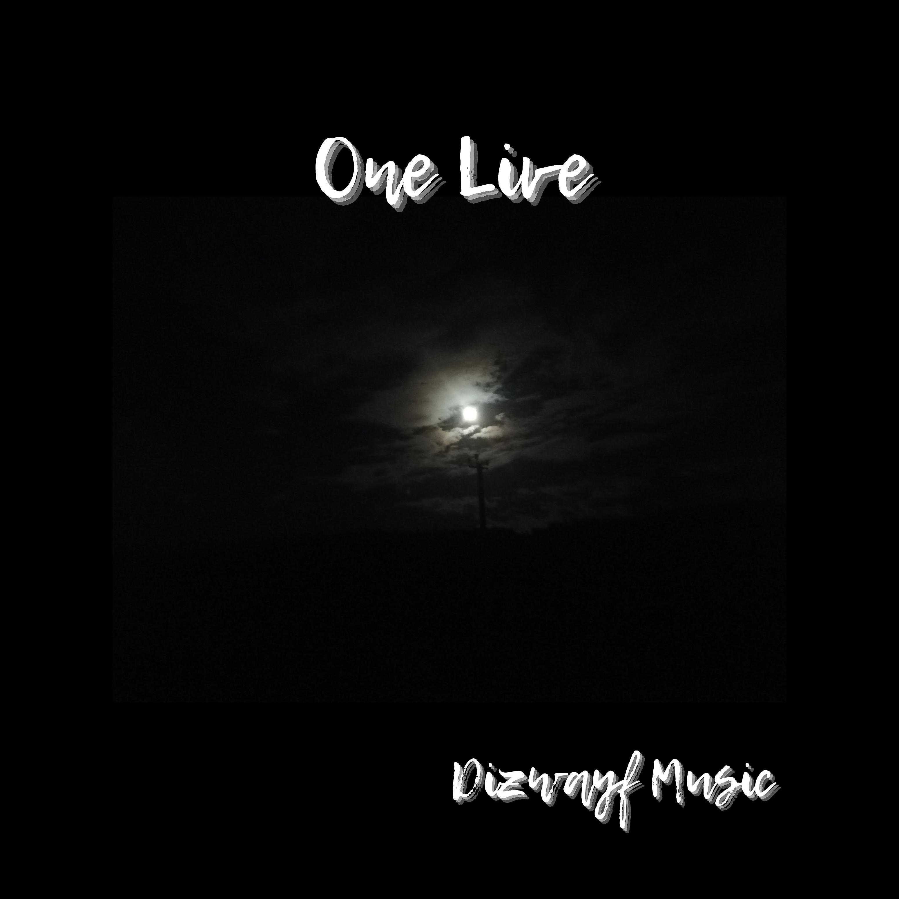 Постер альбома One Live