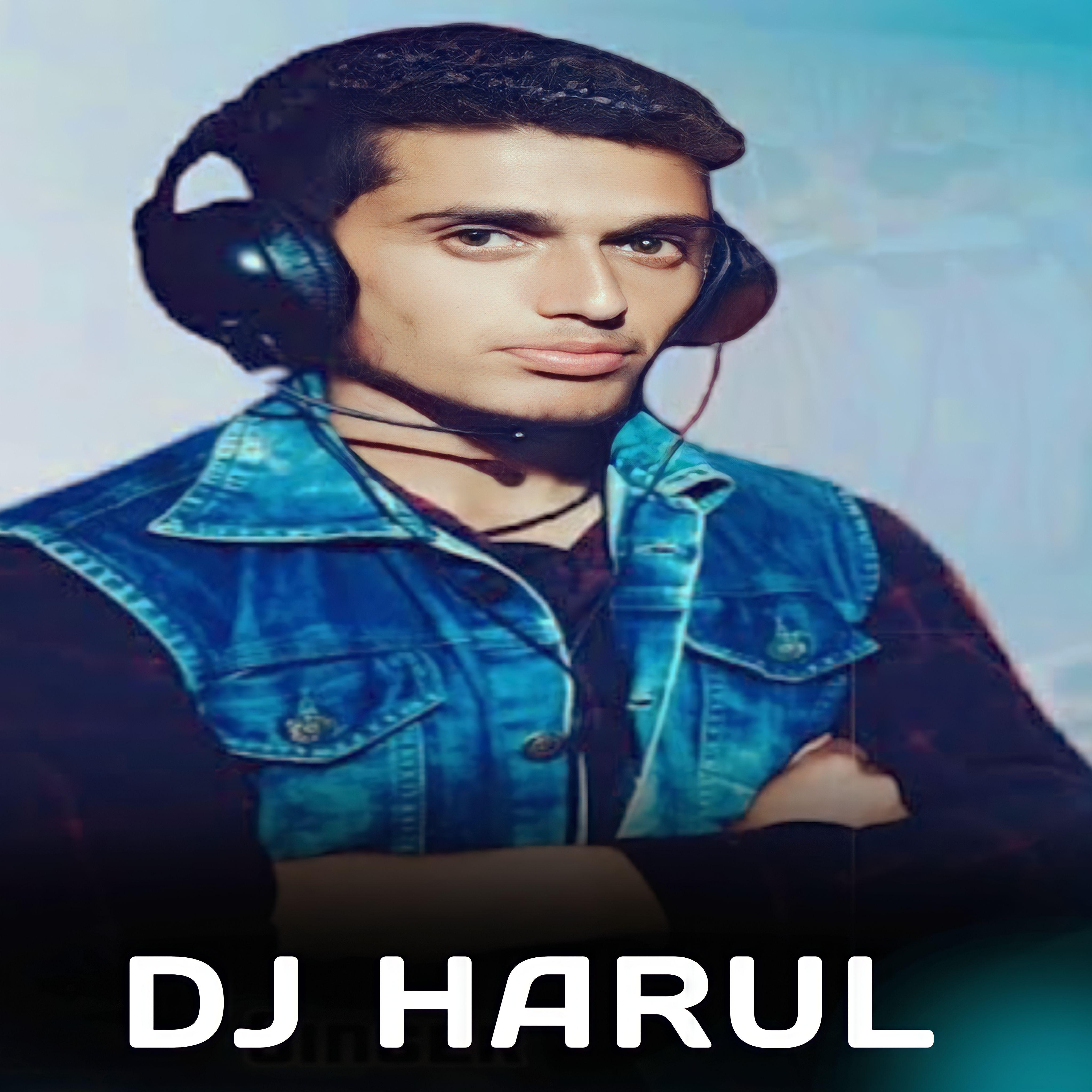 Постер альбома Dj Harul